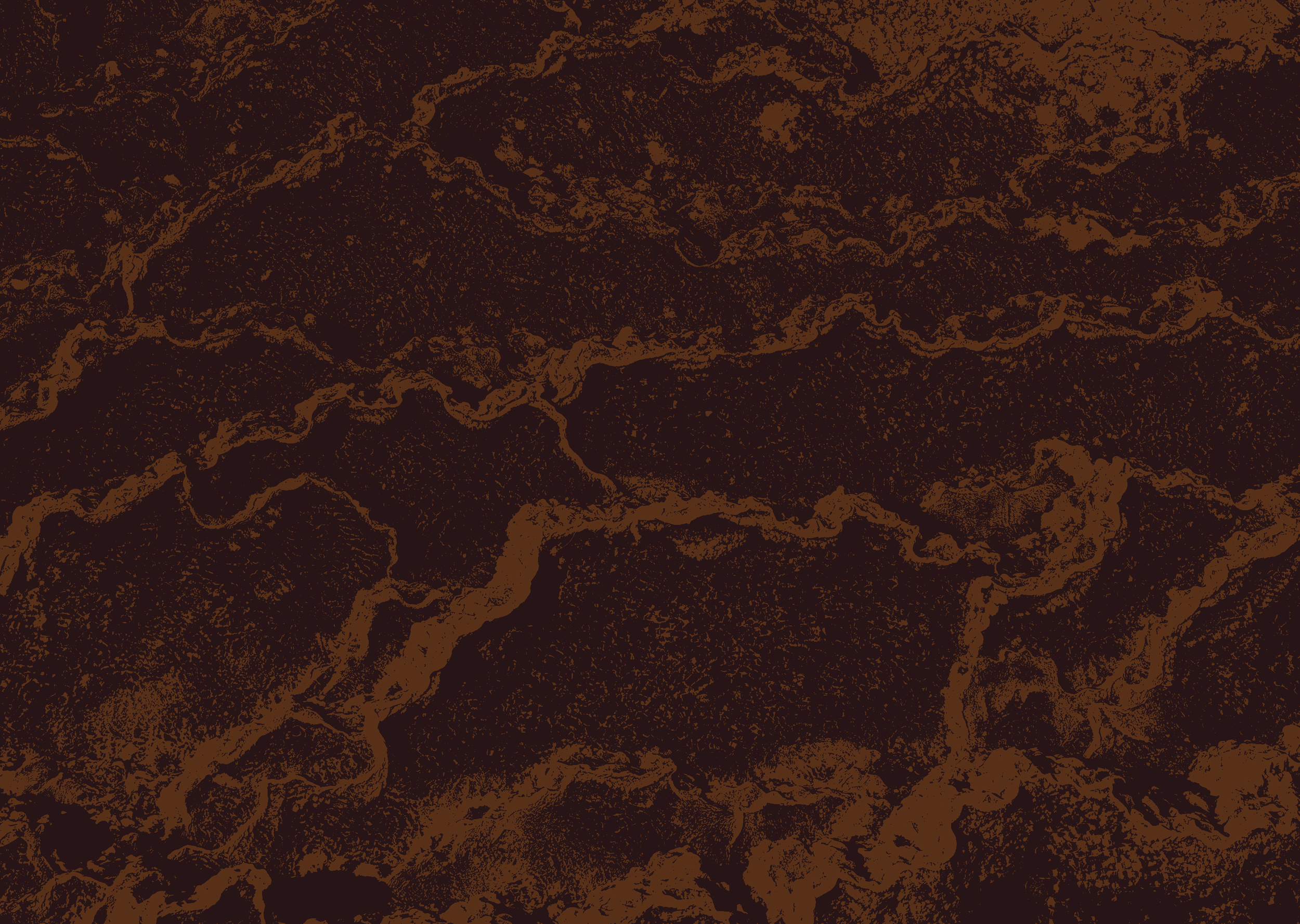 A dark brown and black textured surface with irregular, vein-like patterns.