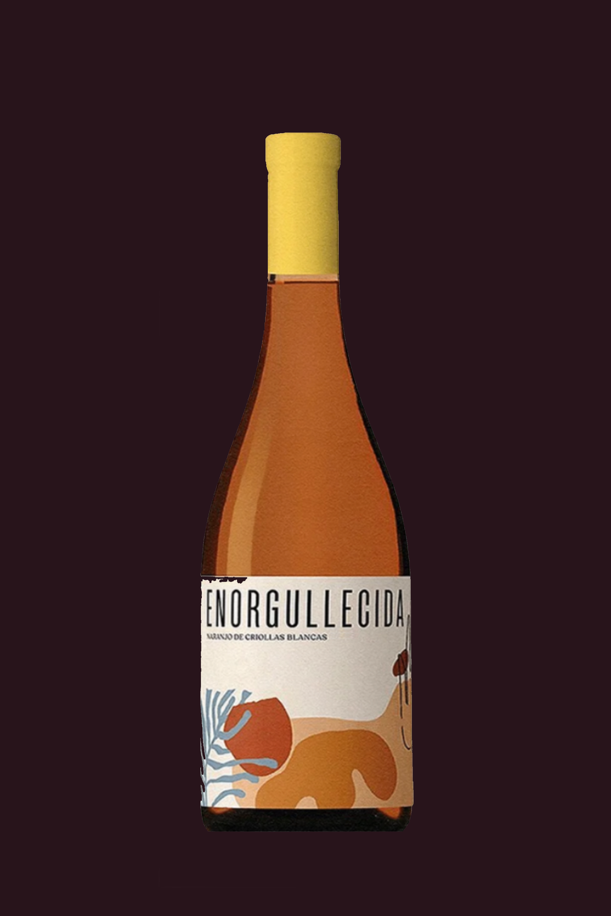 Enorgullecida Pedro Giménez y Torrontés 2023 - Paula Michelini