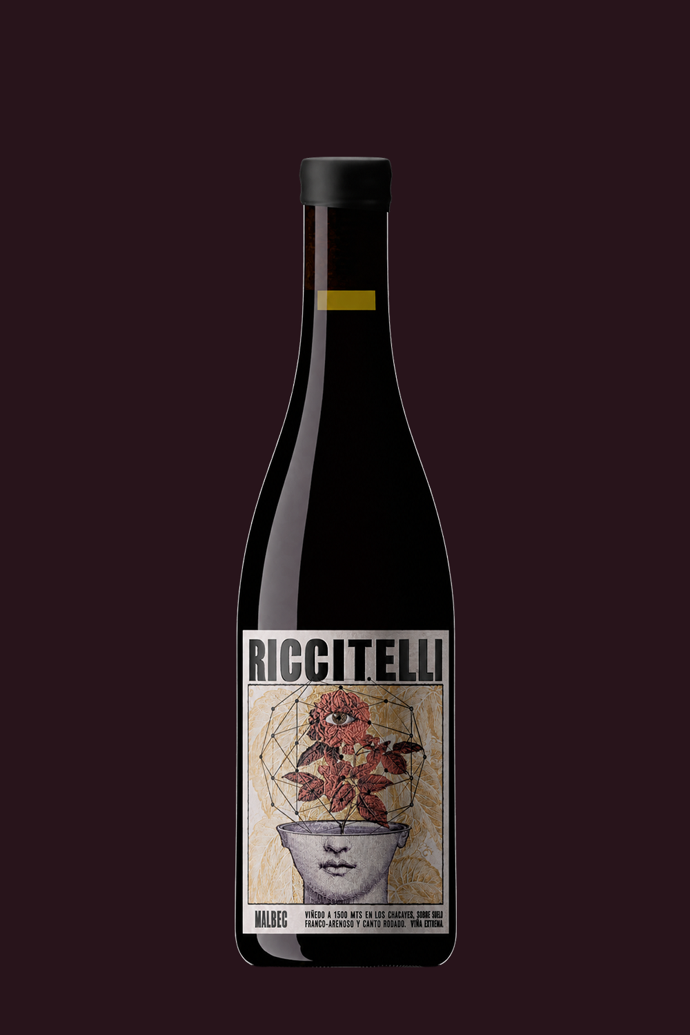 Viñas Extremas Malbec Vino de los Chacayes - Matías Riccitelli