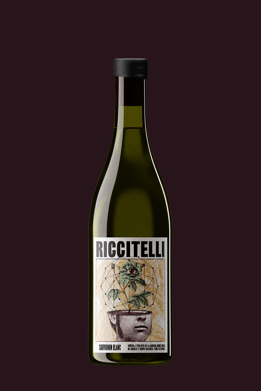 Viñas Extremas Sauvignon Blanc Vino de la Carrera - Matías Riccitelli