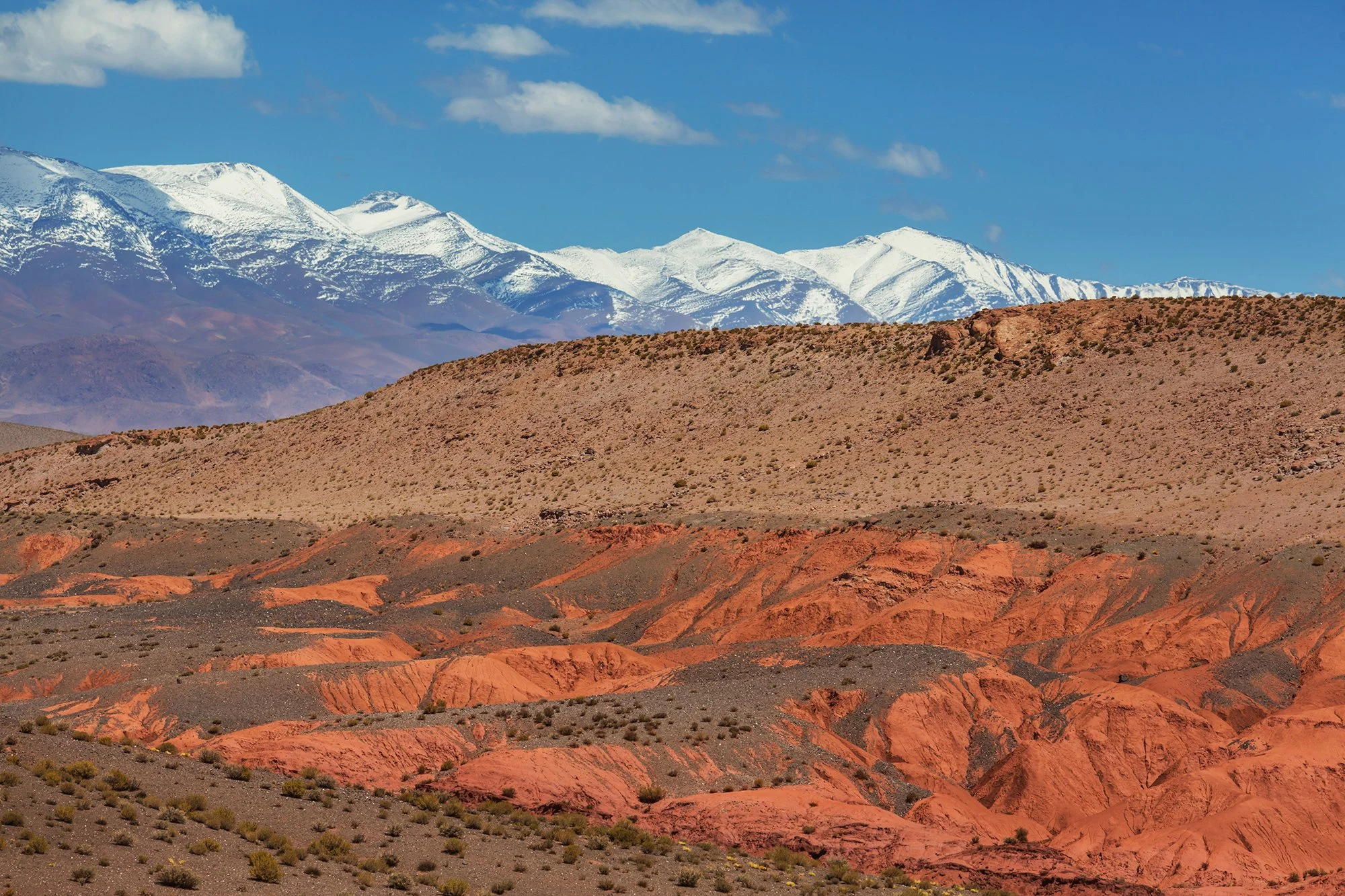 A desert landscape with reddish soil in the foreground, sparse desert plants, averaging atop colored hills, a middle ground of purple and brown hills, and snow-capped mountains under a blue sky with white clouds in the background.