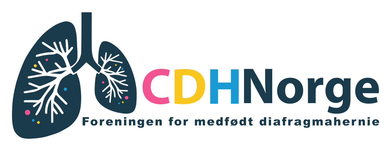 CDH Norge