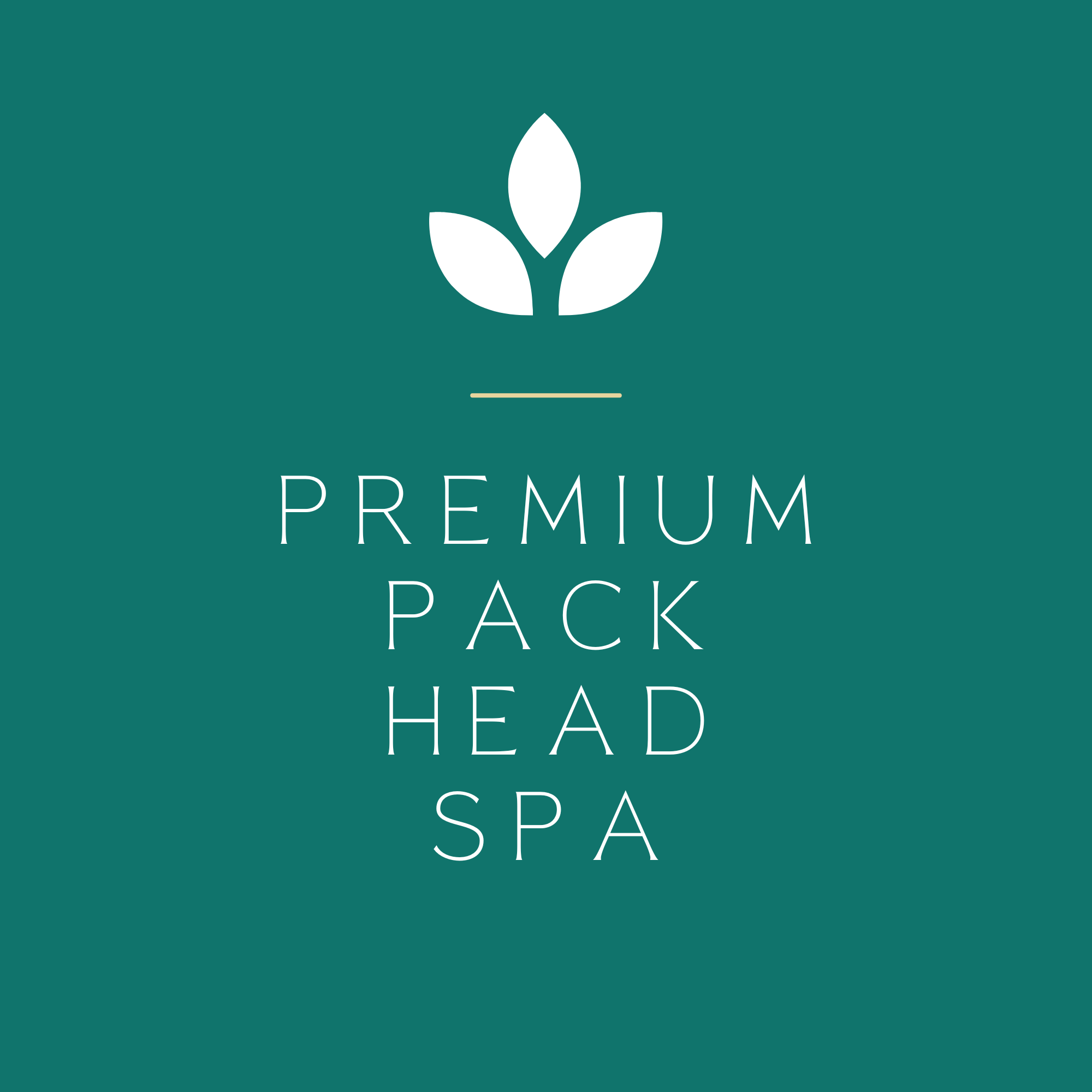 PREMIUM PACK HEAD SPA - Formation et matériel en une seule offre