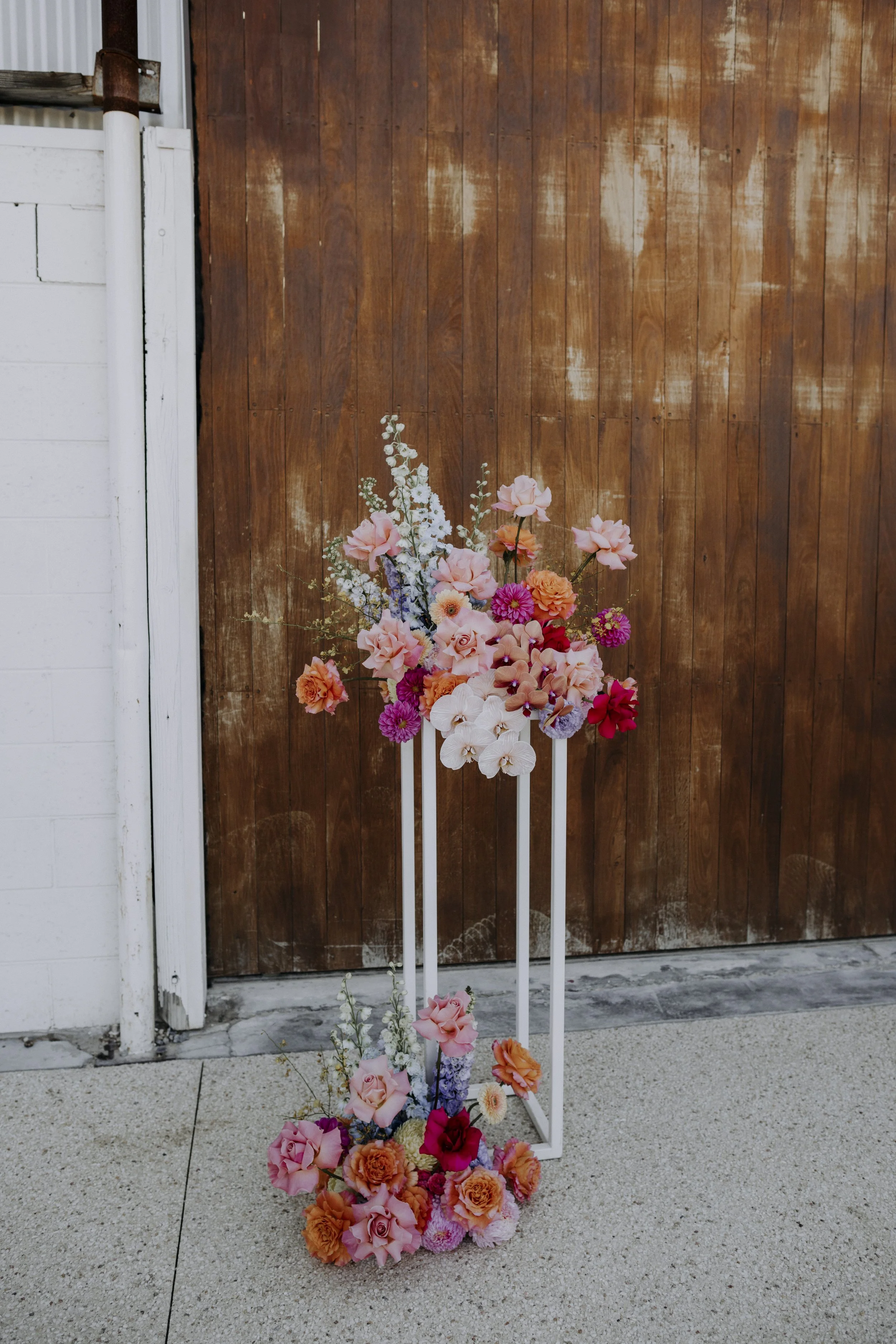 katie&graham_sneakpeek_192.JPG