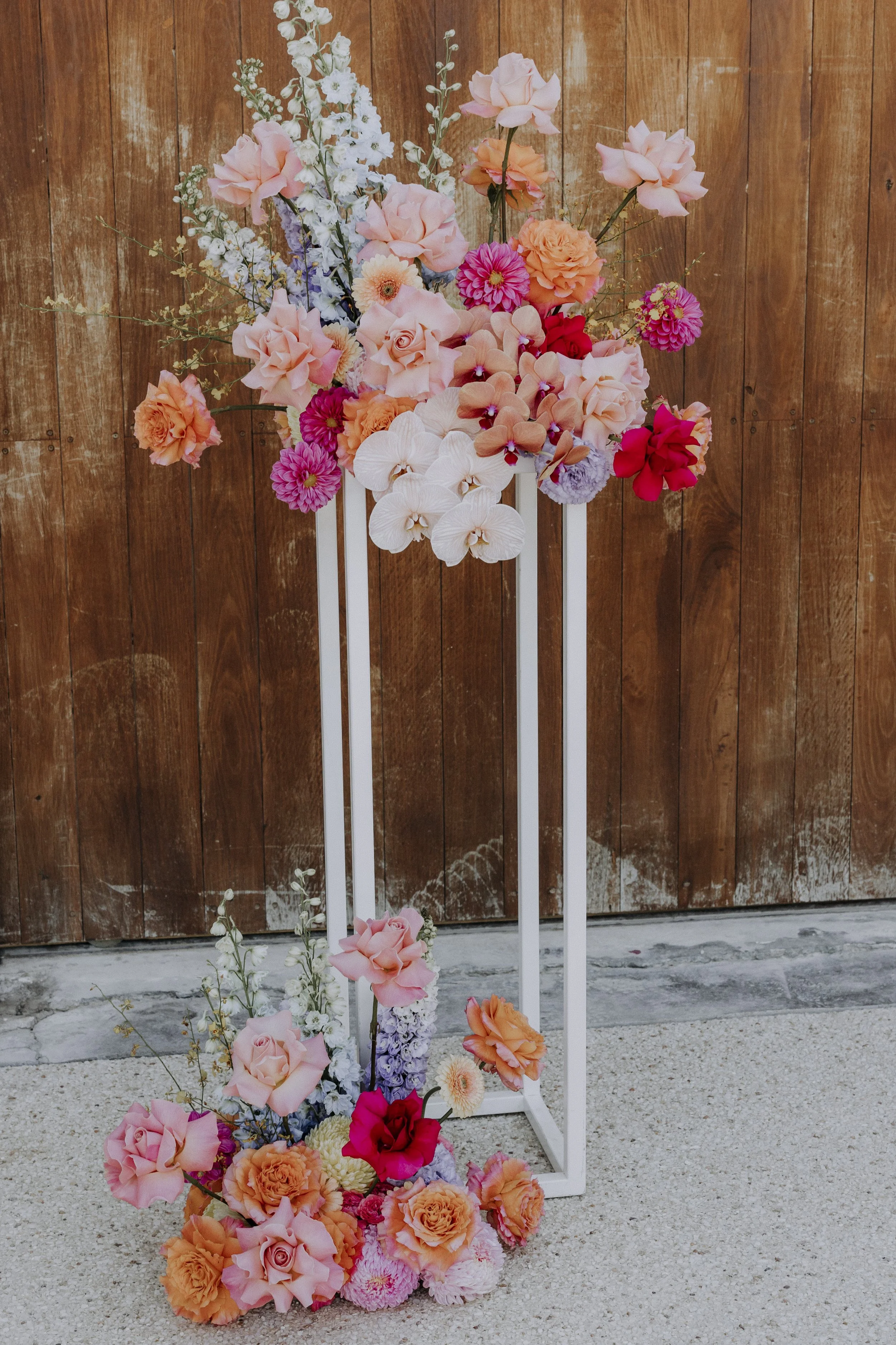 katie&graham_sneakpeek_183.JPG