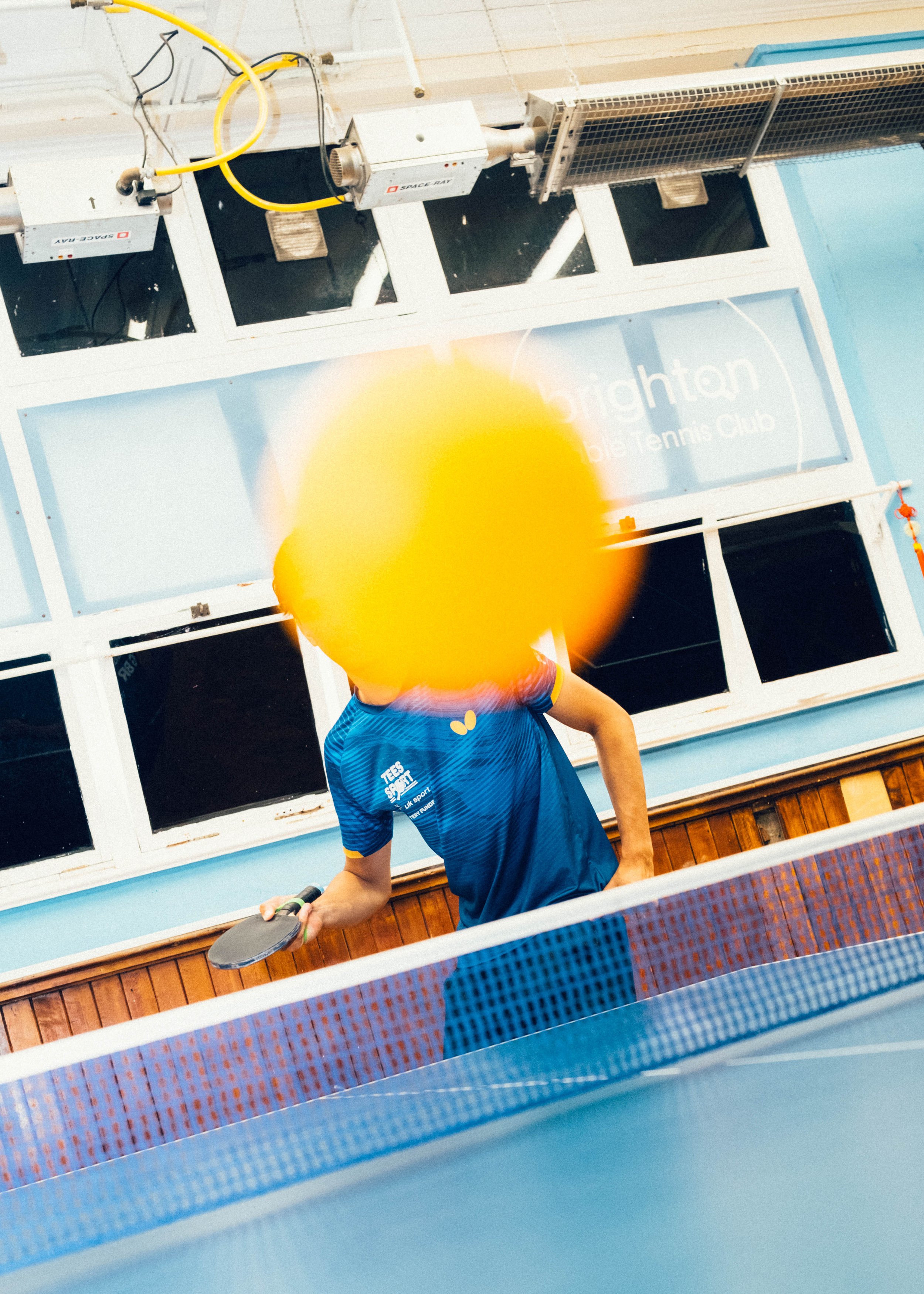 NewWeb19.jpg