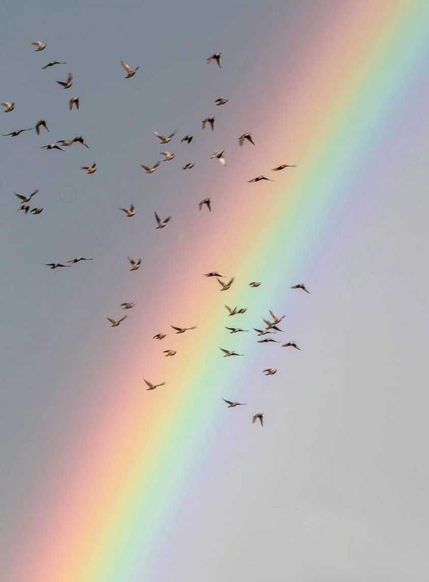 48aaeb49-76c6-4754-a9a5-524bea829db7.JPG