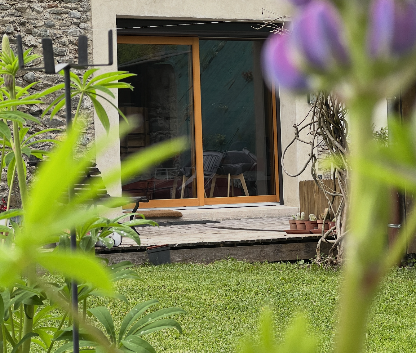 A rustic backyard patio with a sliding glass door leading into the house, surrounded by green plants and potted cacti, with a wooden deck and a grassy lawn.