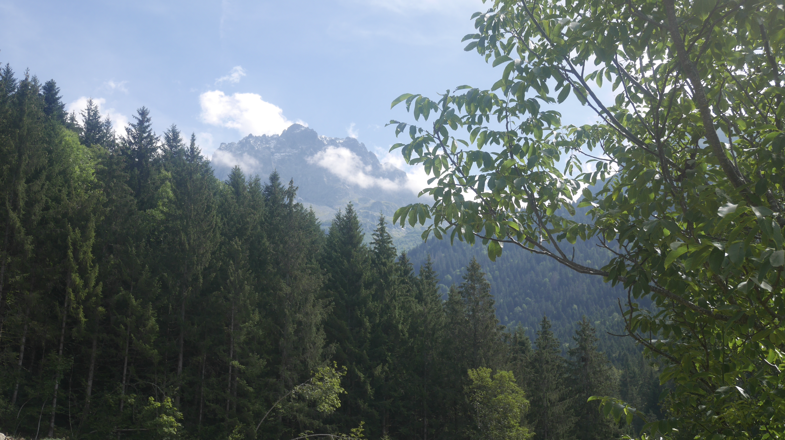 A scenic view of a lush green forest with tall trees in the foreground and a snow-capped mountain partially covered with clouds in the background, under a clear blue sky.