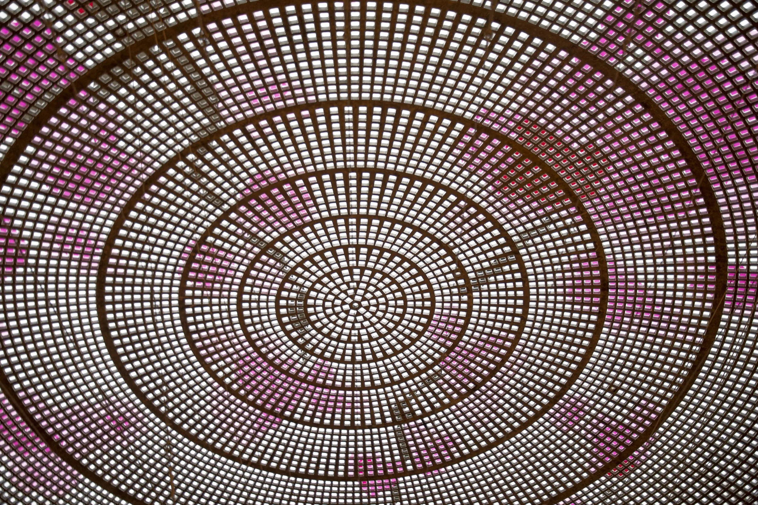 DSC_8601untitled.jpg