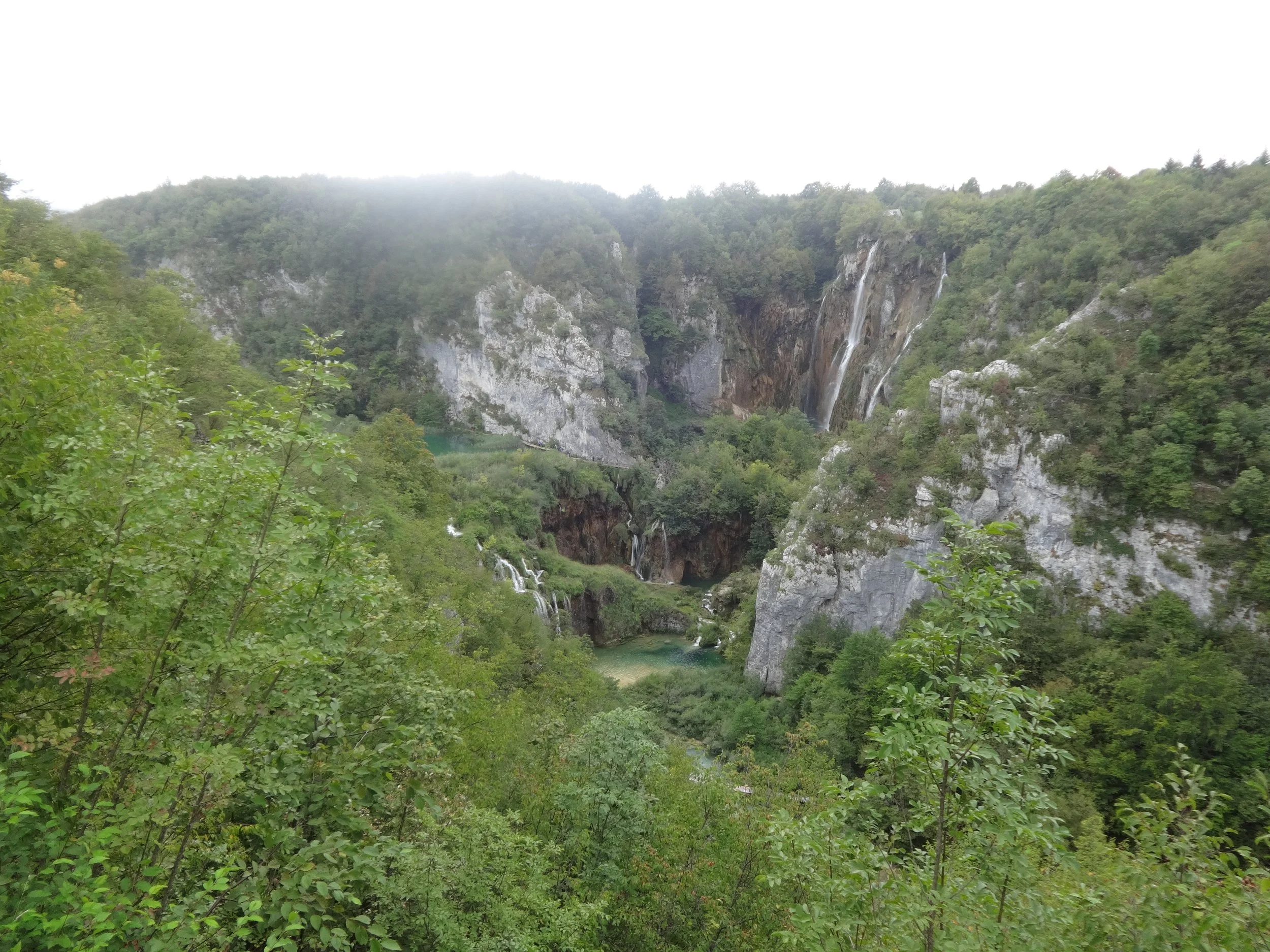 Lush green forest surrounding a waterfall cascading down rocky cliffs into a river below