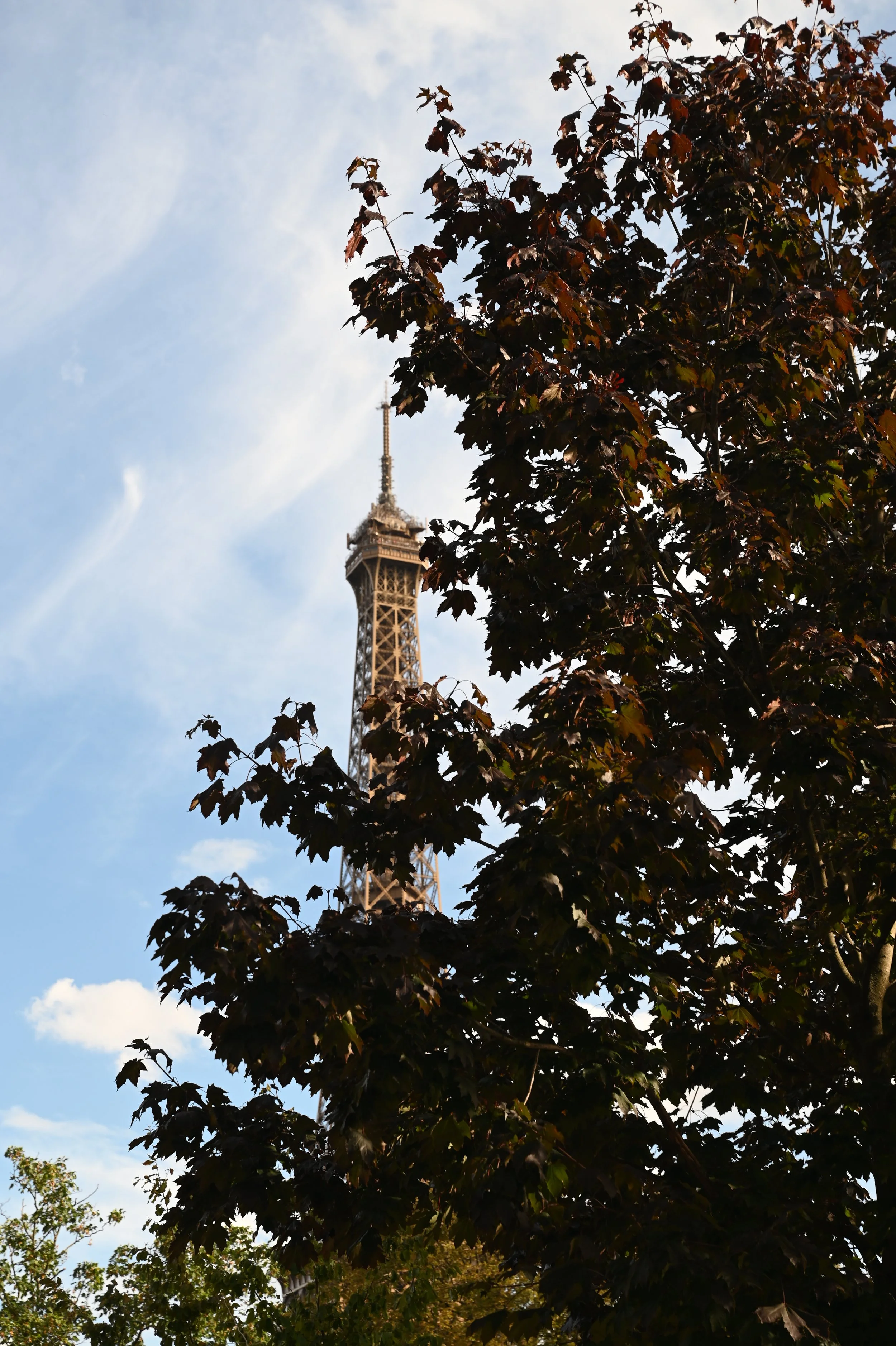 DSC_7559.JPG