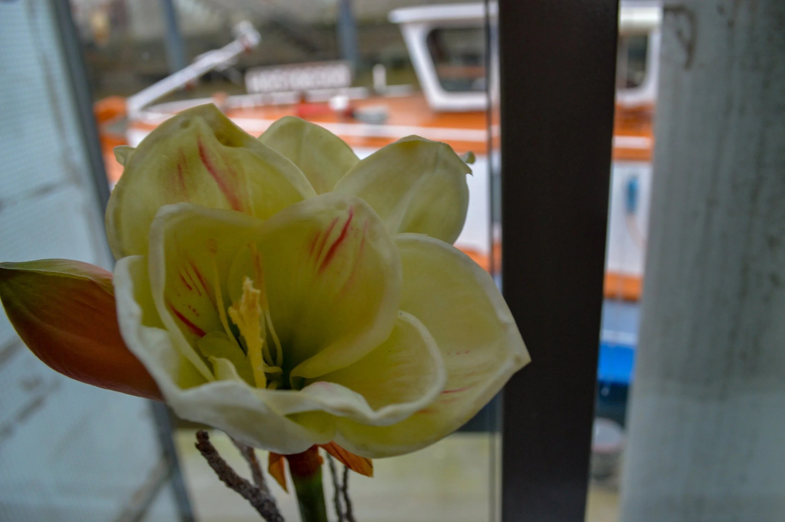 DSC_0034.jpg