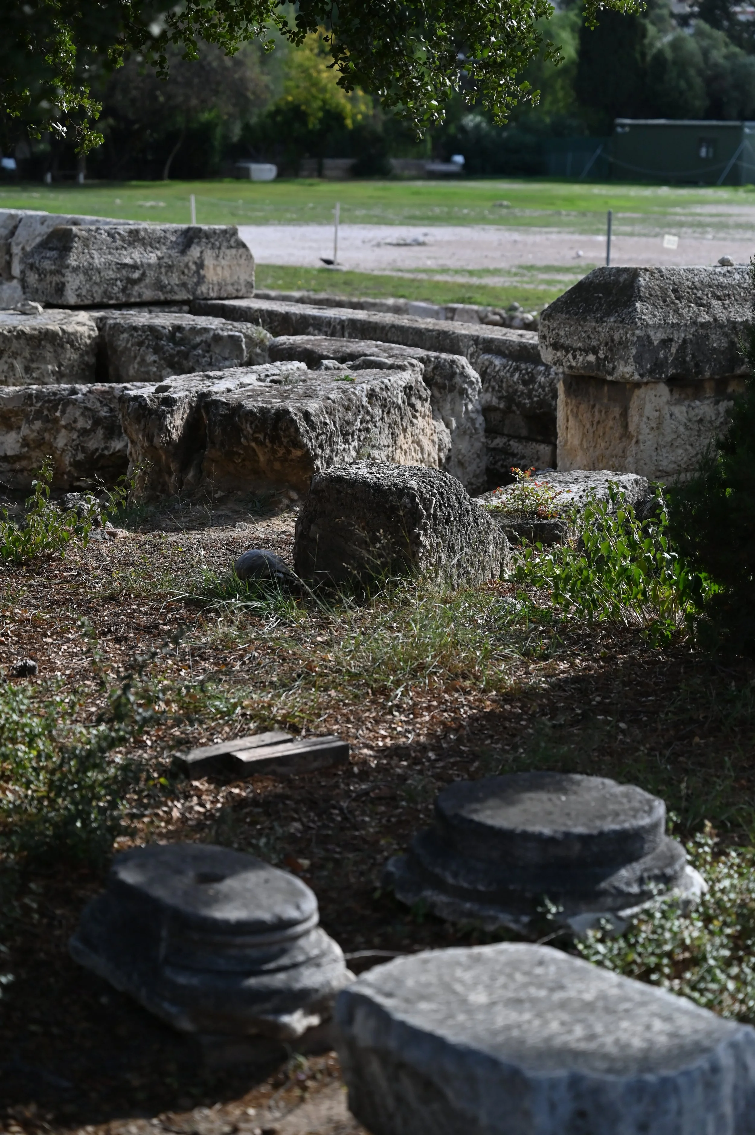 DSC_1283.JPG