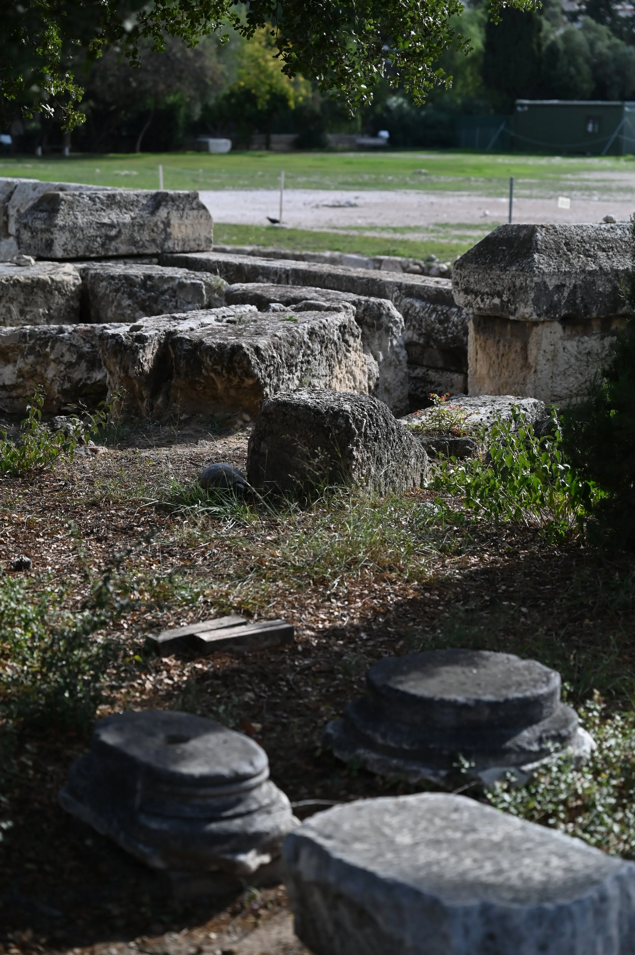 DSC_1284.JPG