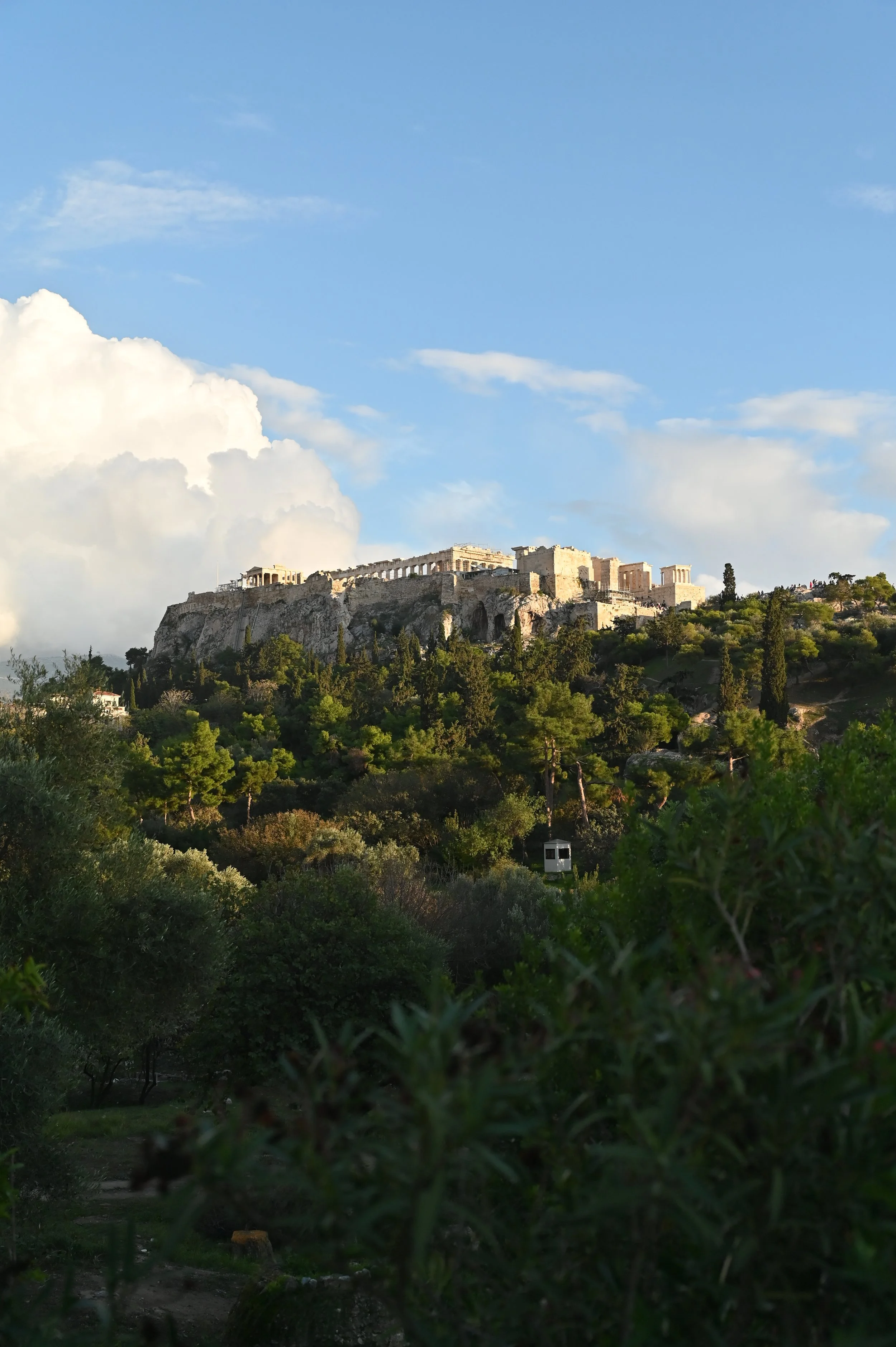 DSC_1314.JPG