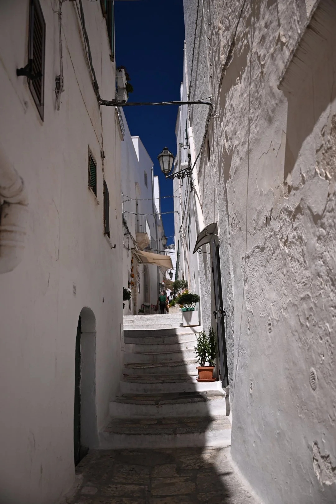 DSC_5486.JPG