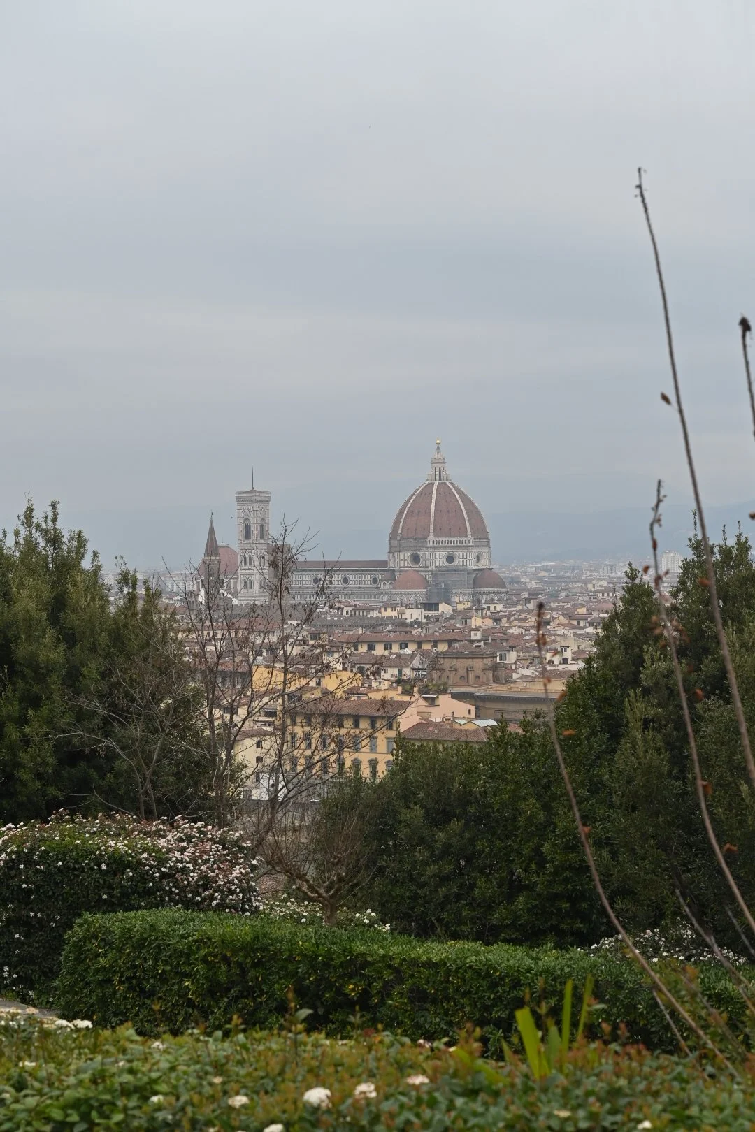 DSC_1658.JPG
