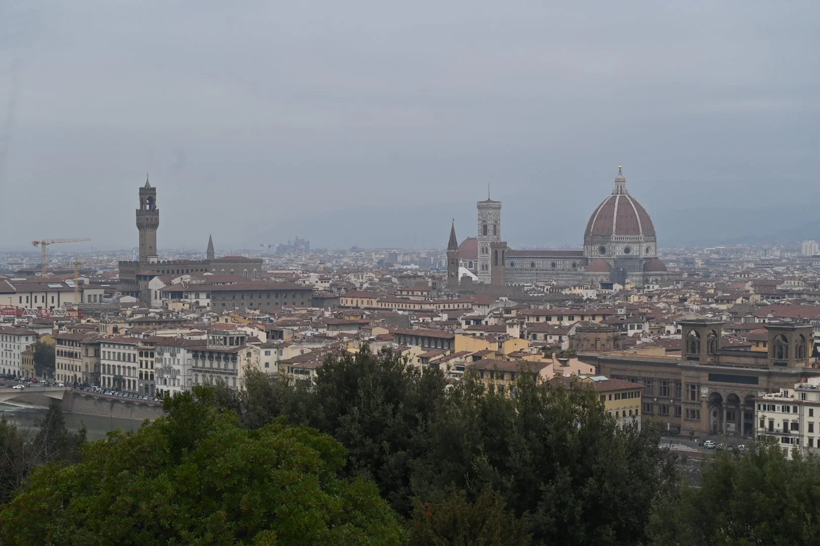 DSC_1664.JPG