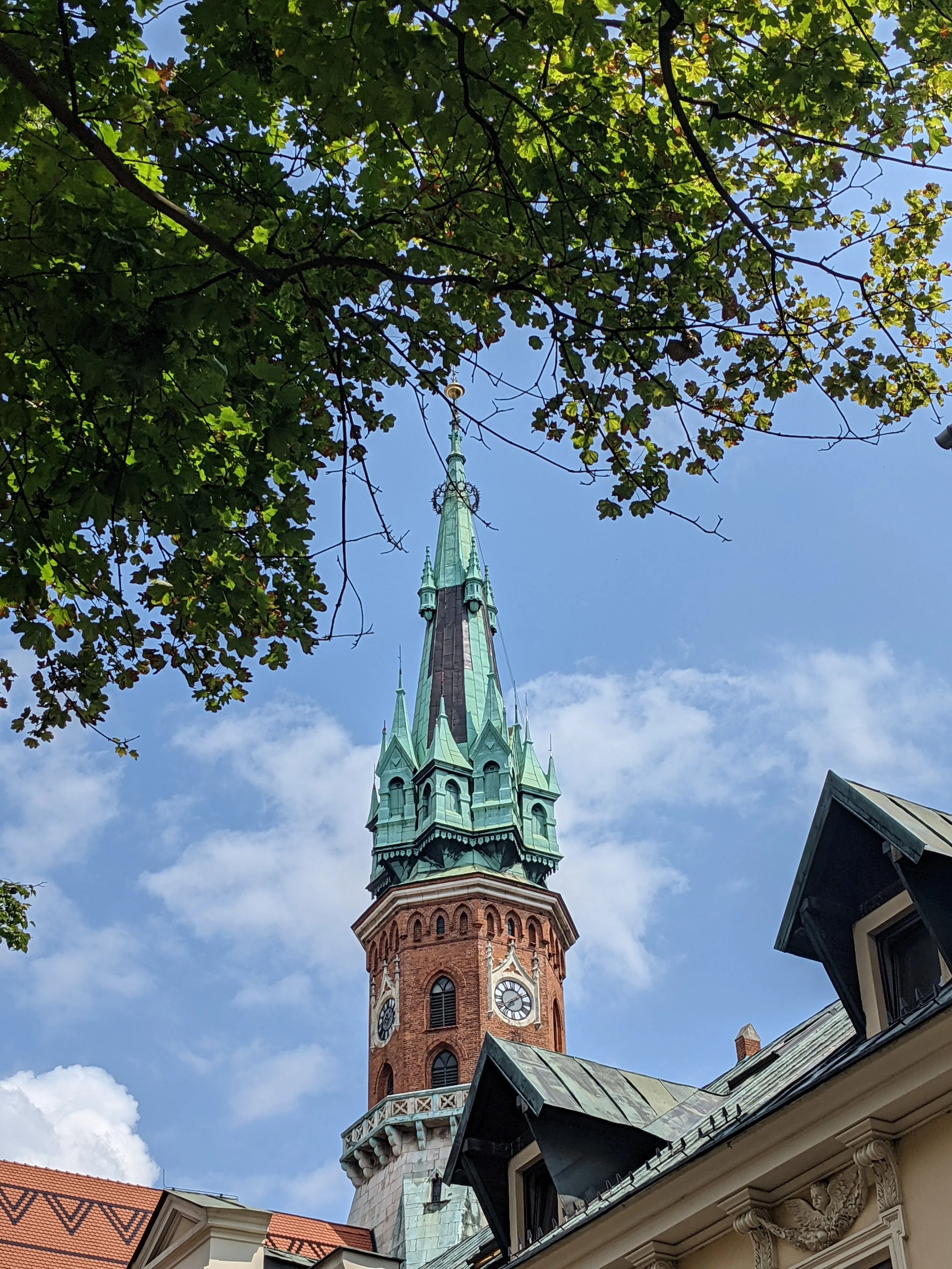 PXL_20210723_114455195.jpg