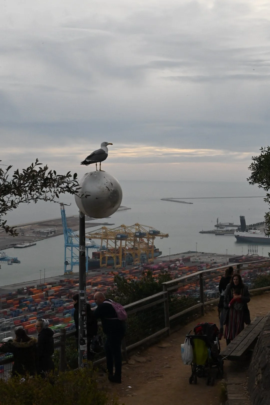 DSC_1037.JPG