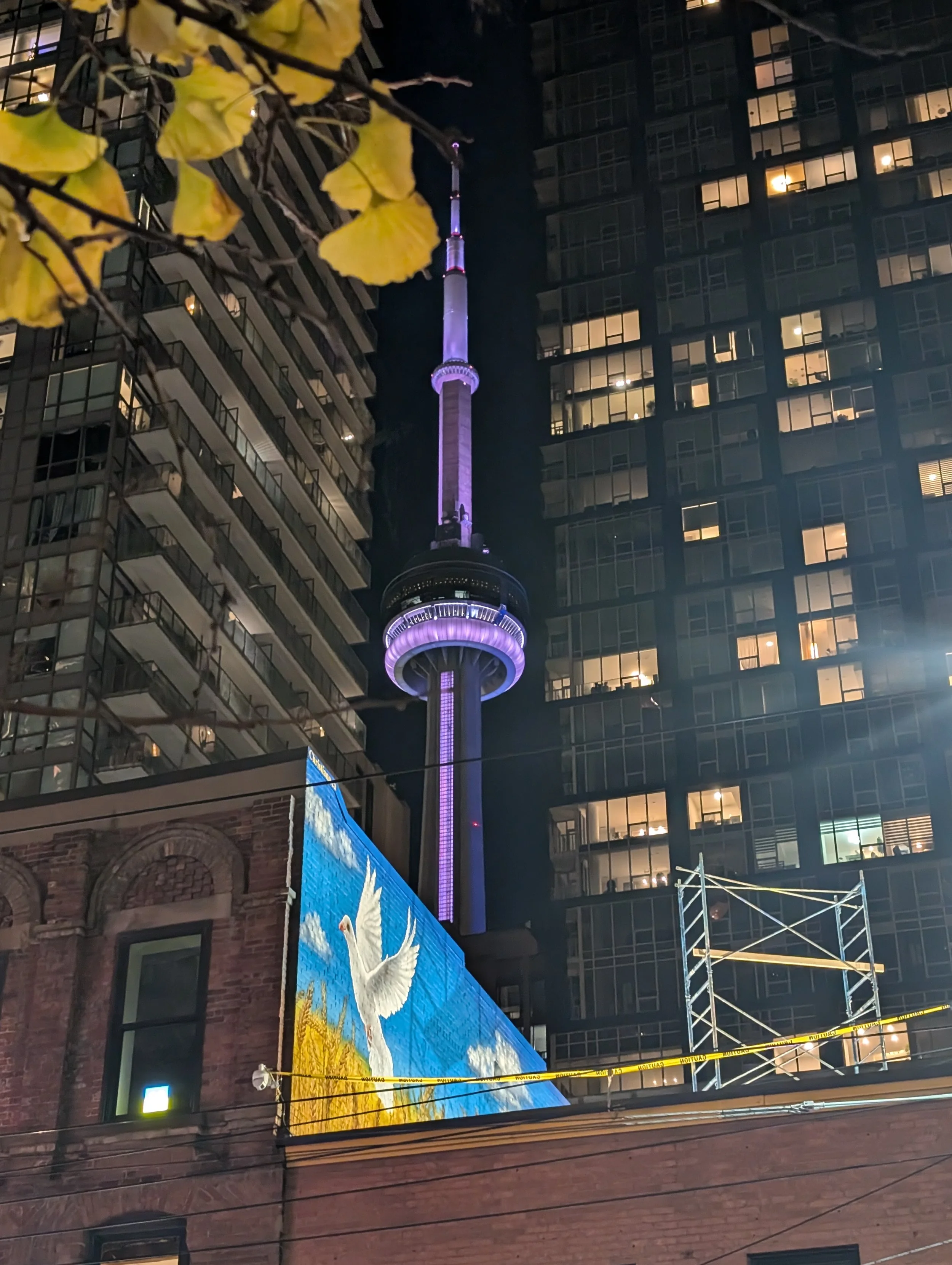 PXL_20241118_234520849.jpg