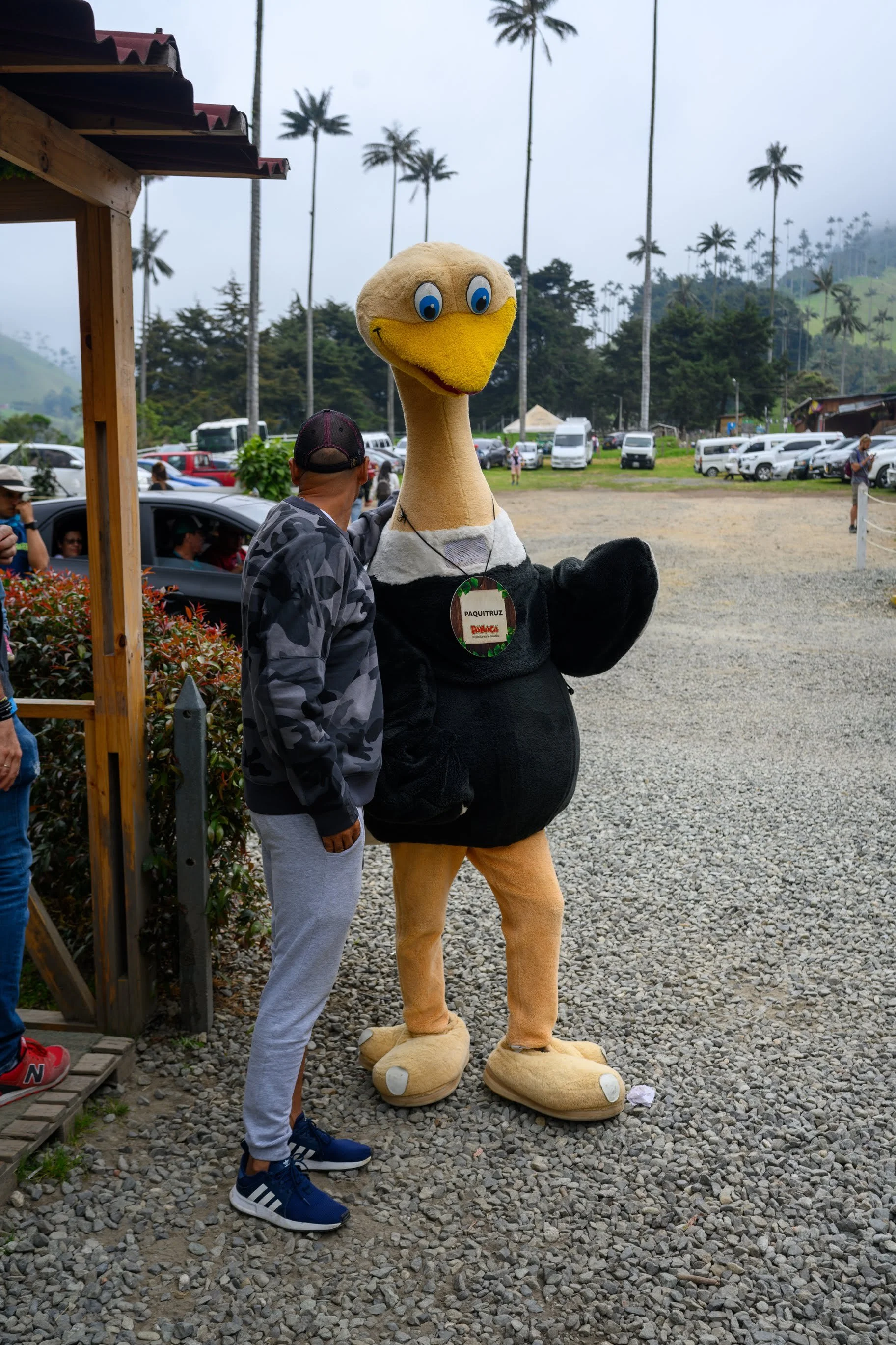 untitled-2Sunday.JPG