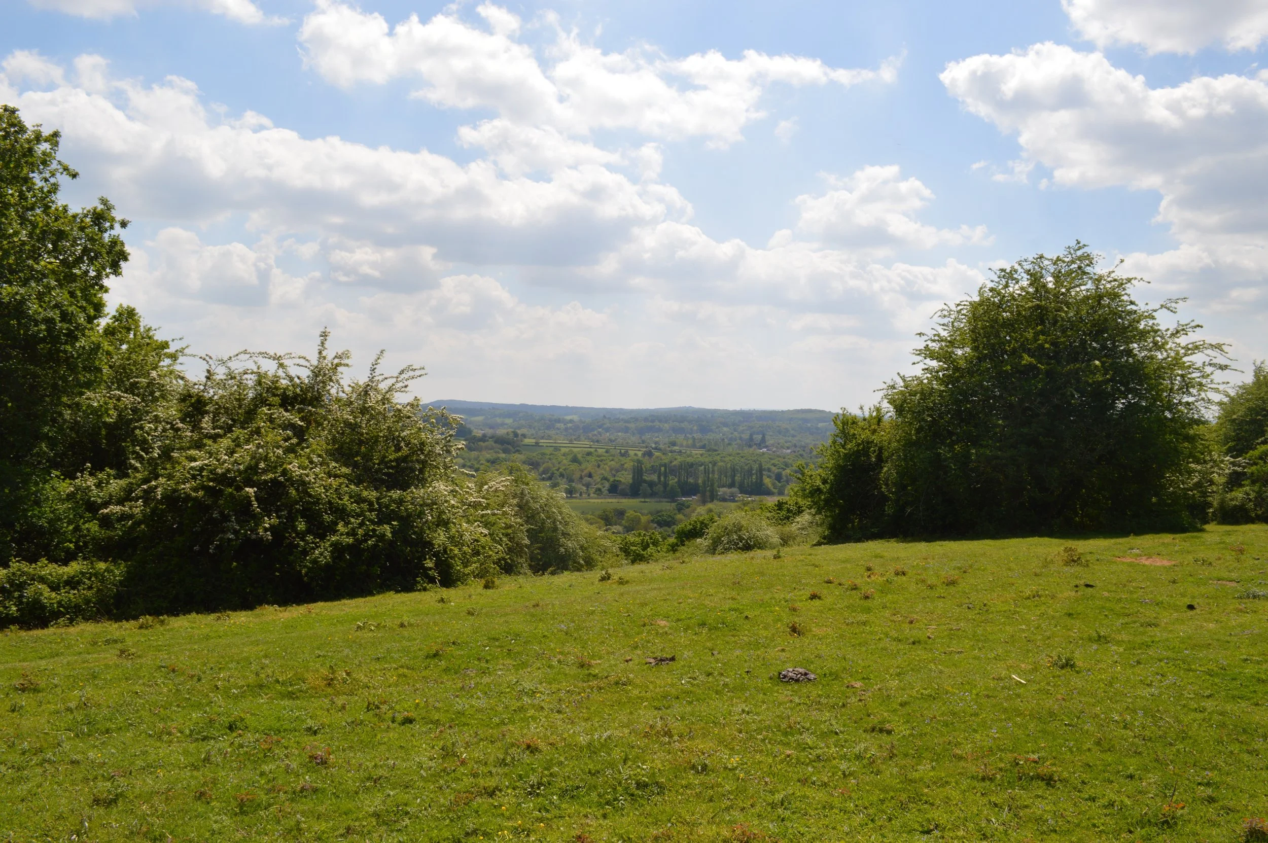 DSC_0009.JPG