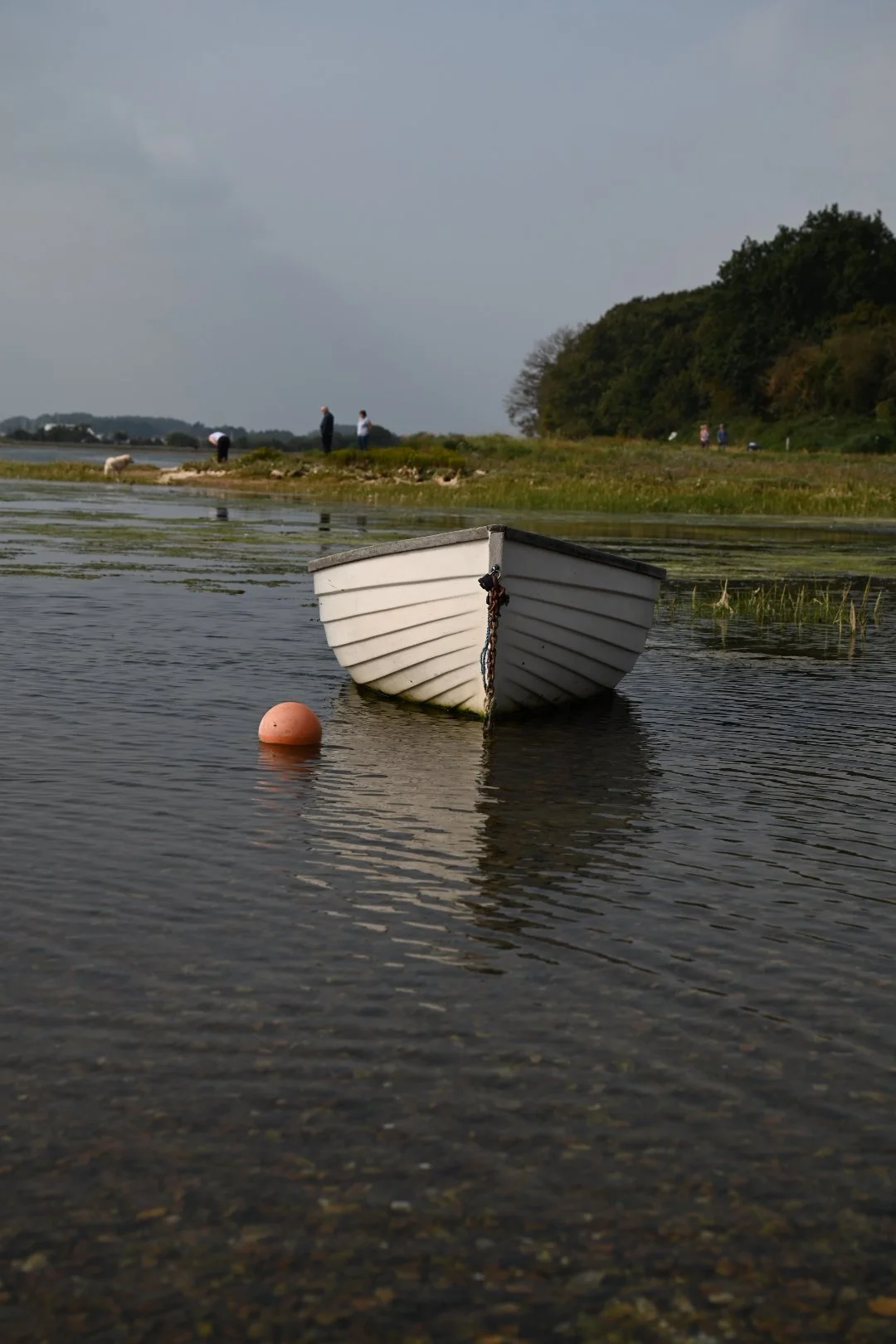 DSC_0005_1.JPG