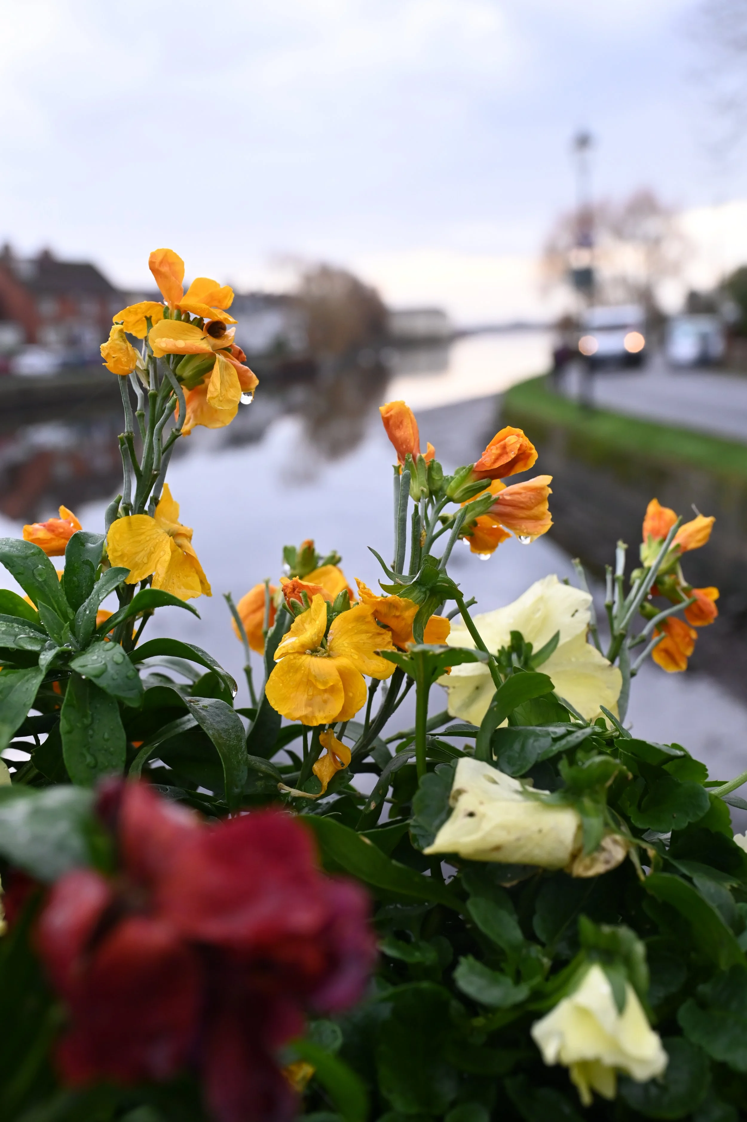 DSC_3826.JPG
