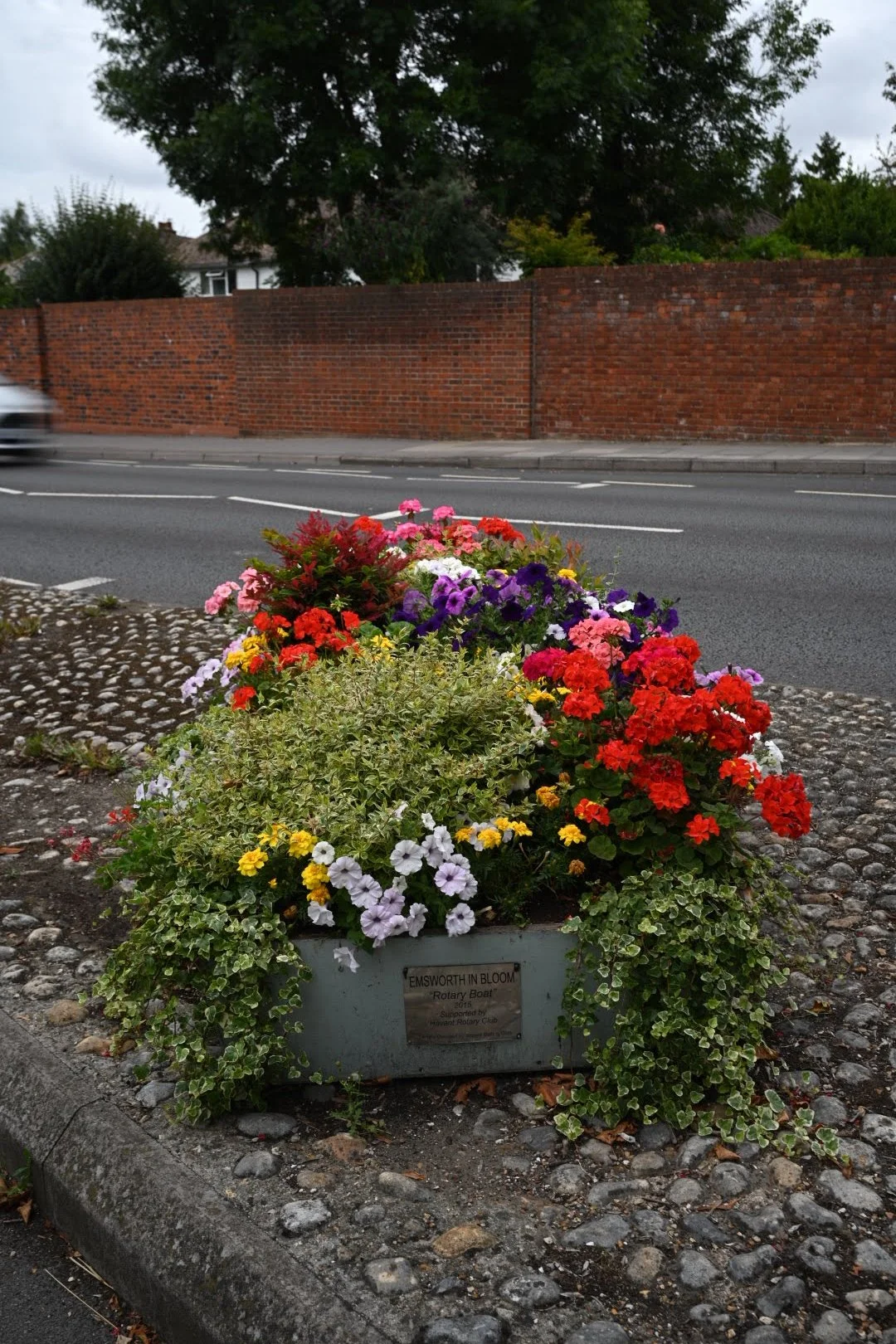DSC_5918.JPG