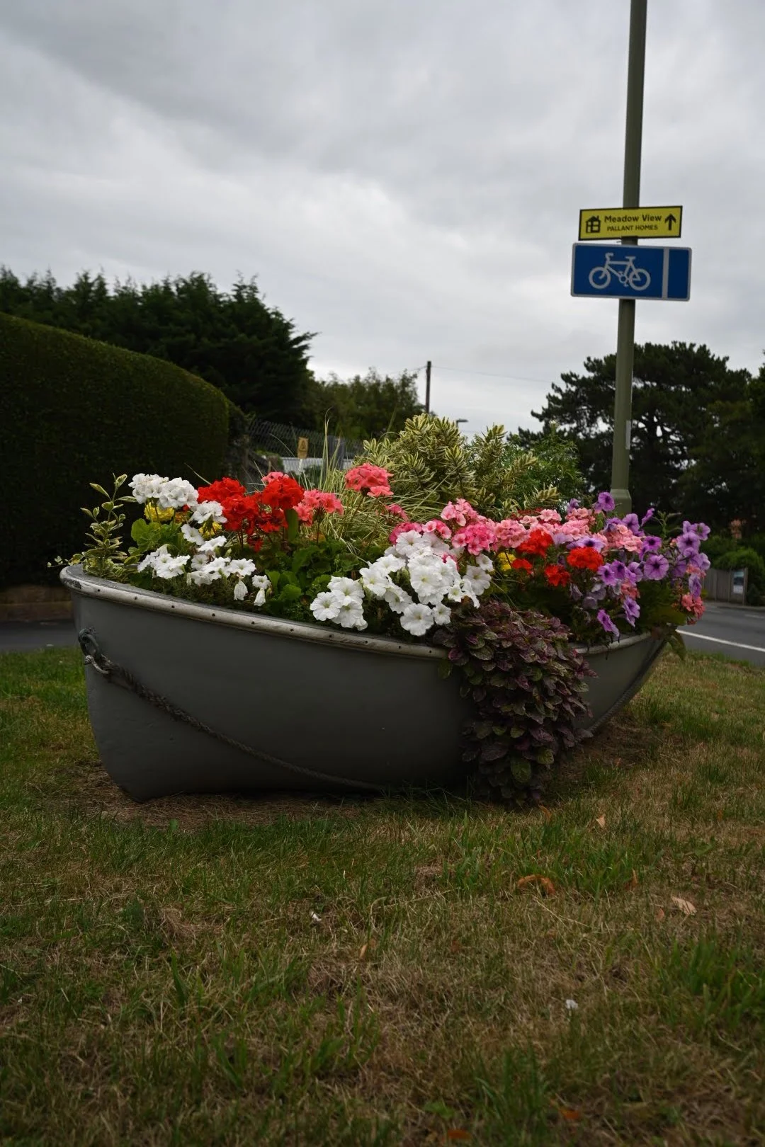 DSC_5930.JPG