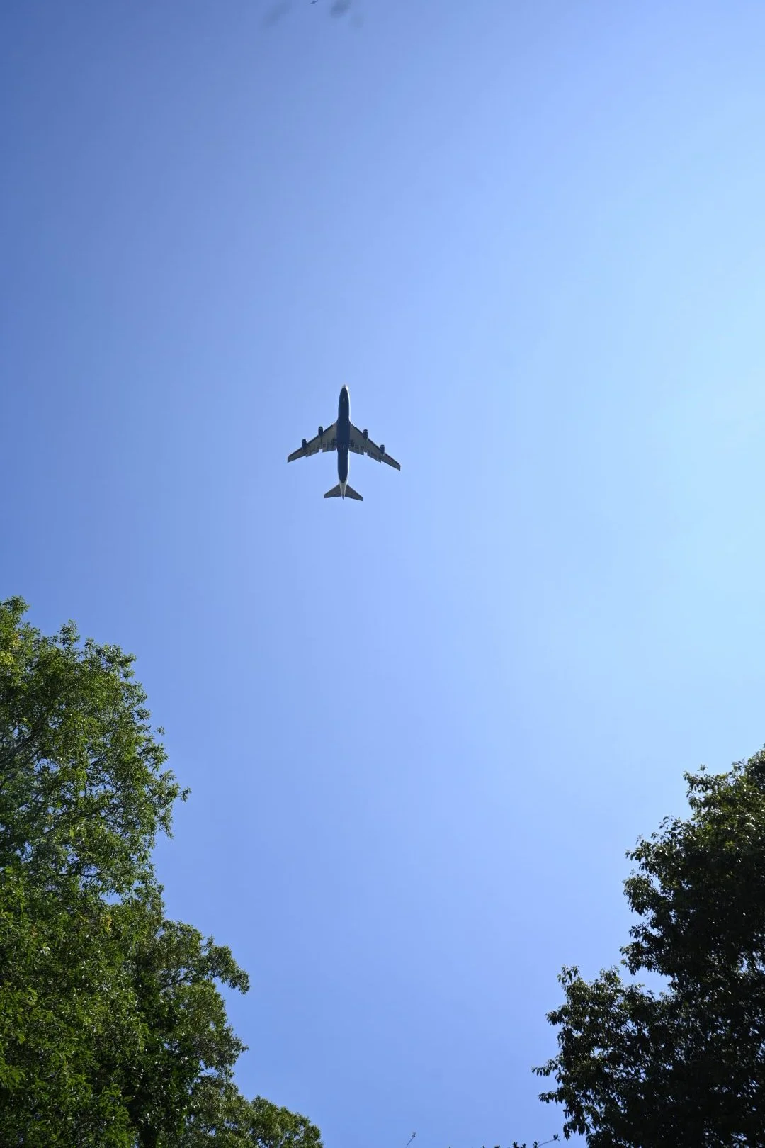 DSC_5218.JPG