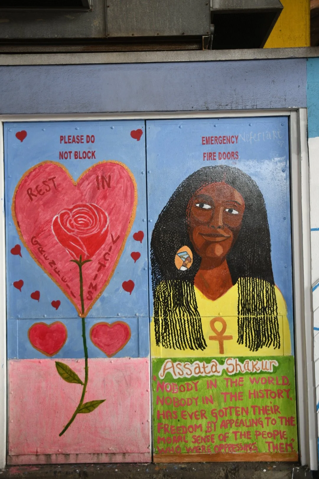 DSC_4356.JPG