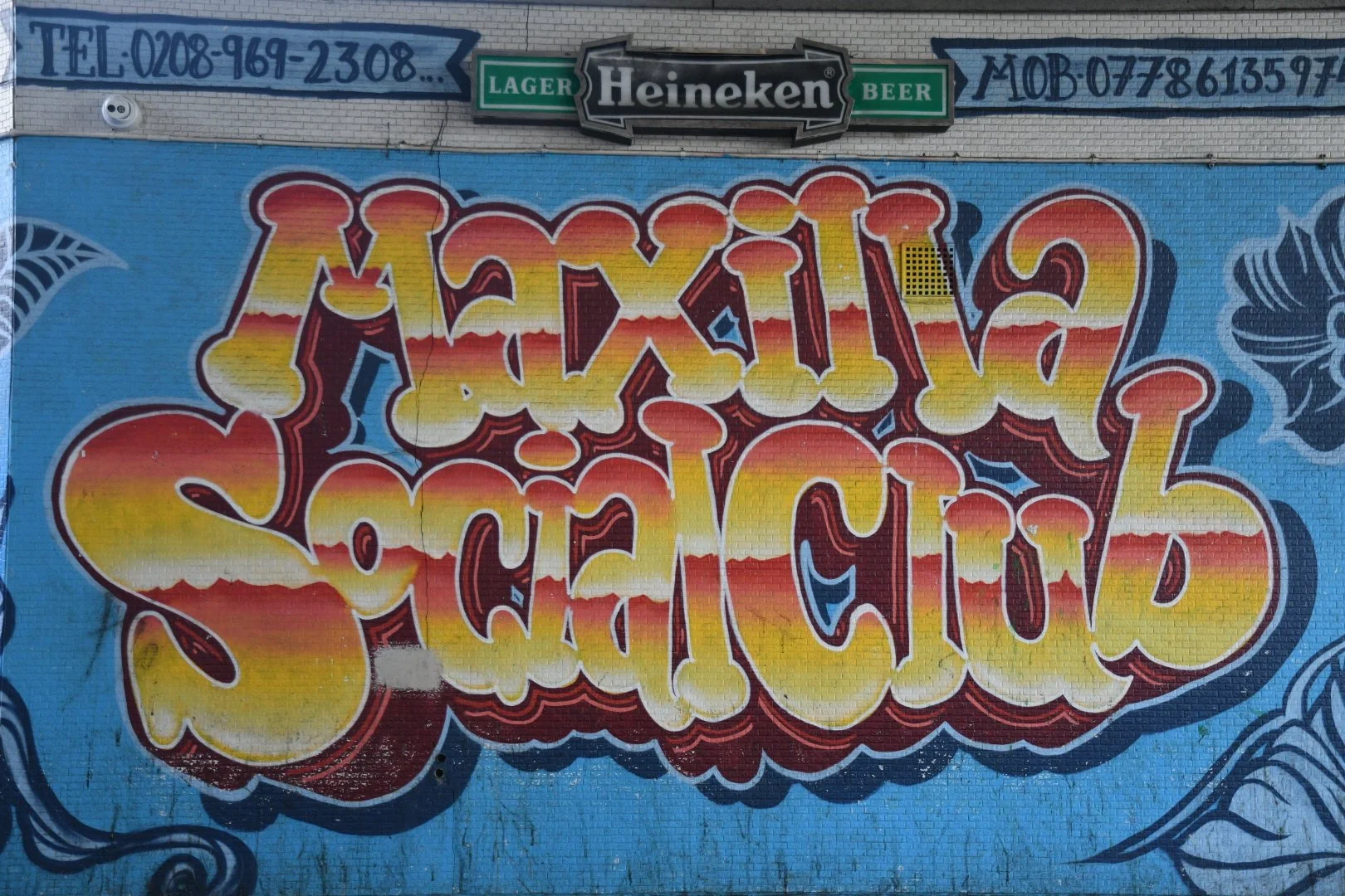 DSC_4360.JPG