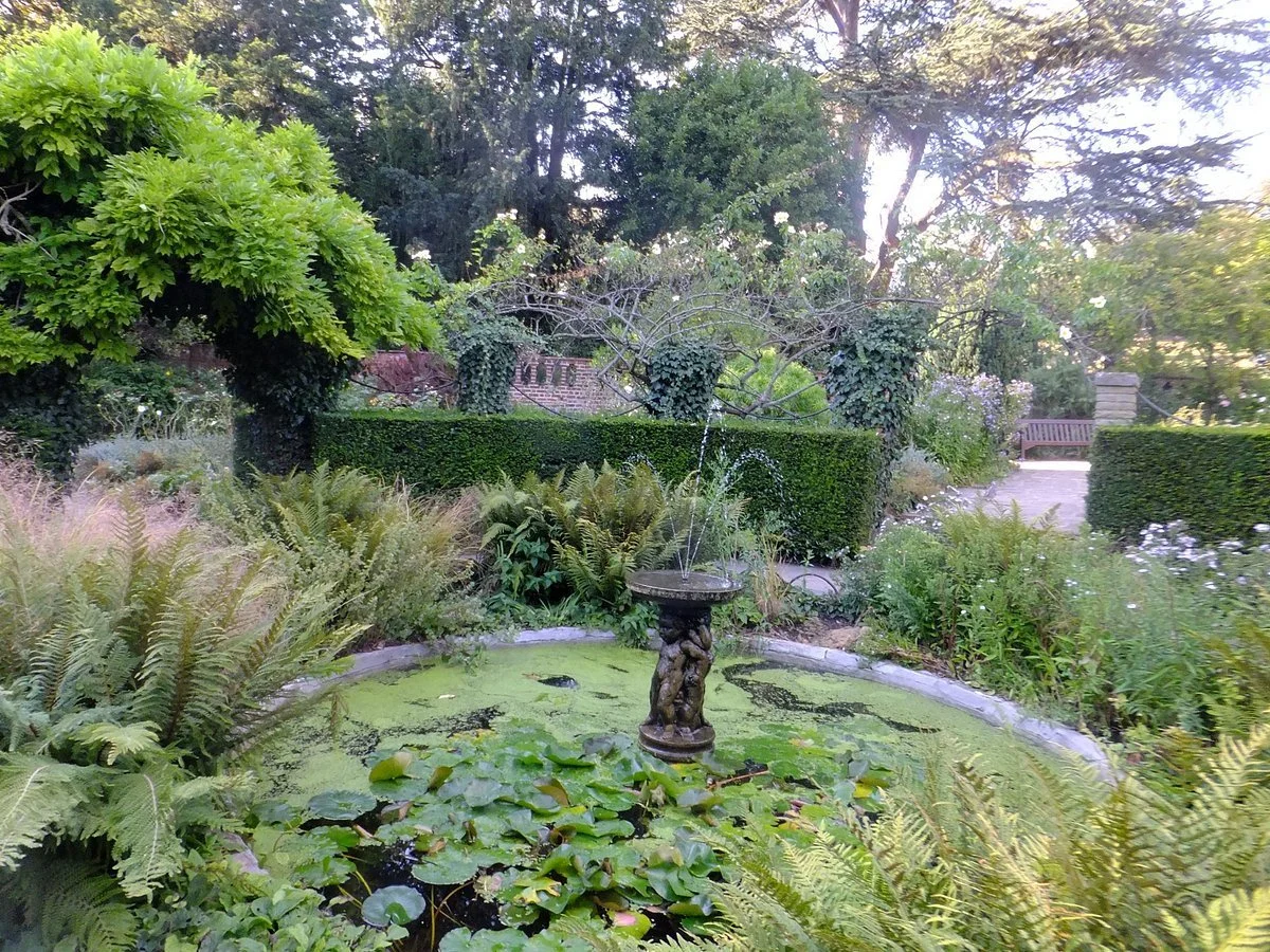 pond-in-the-rookery.jpg