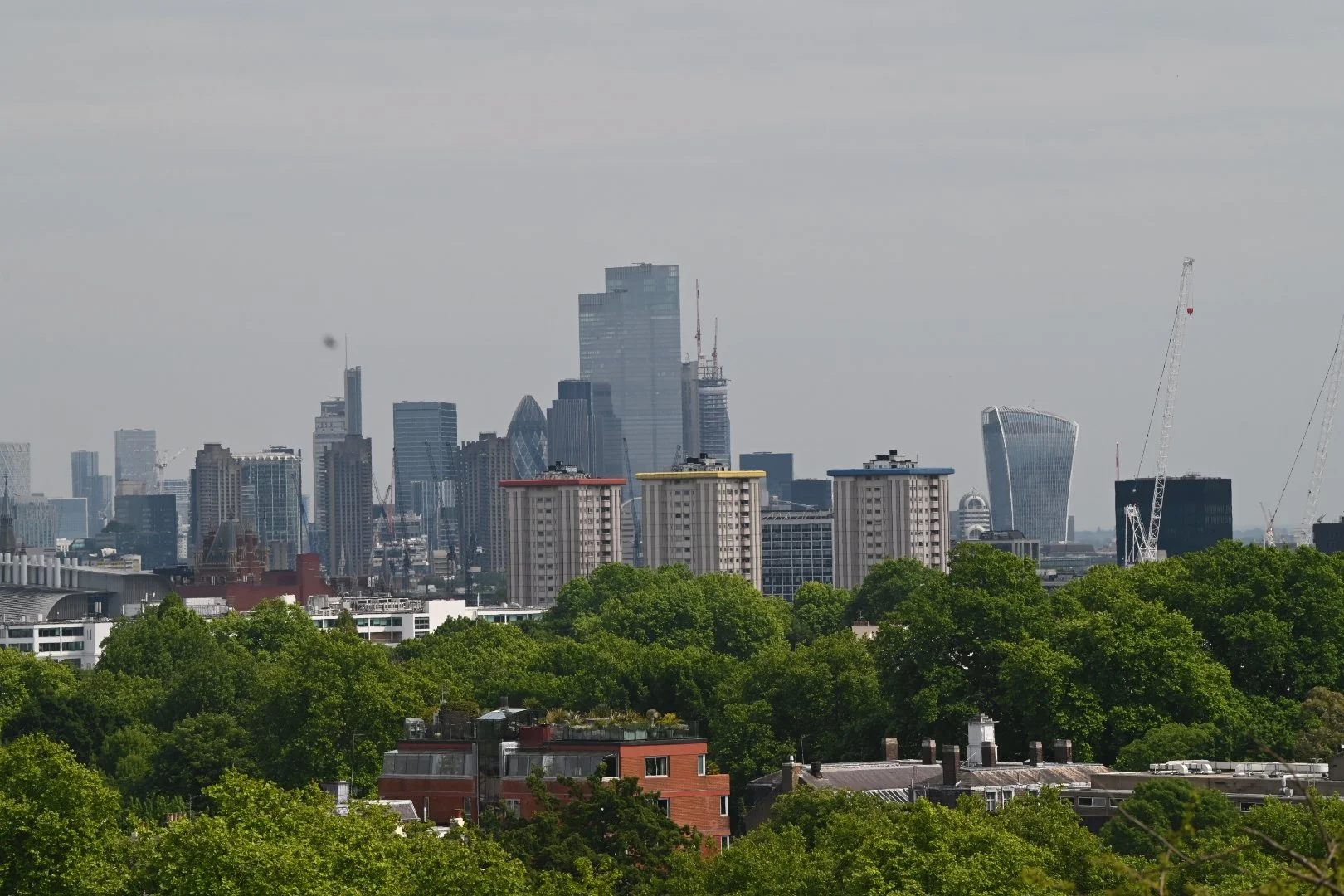 DSC_5732.JPG