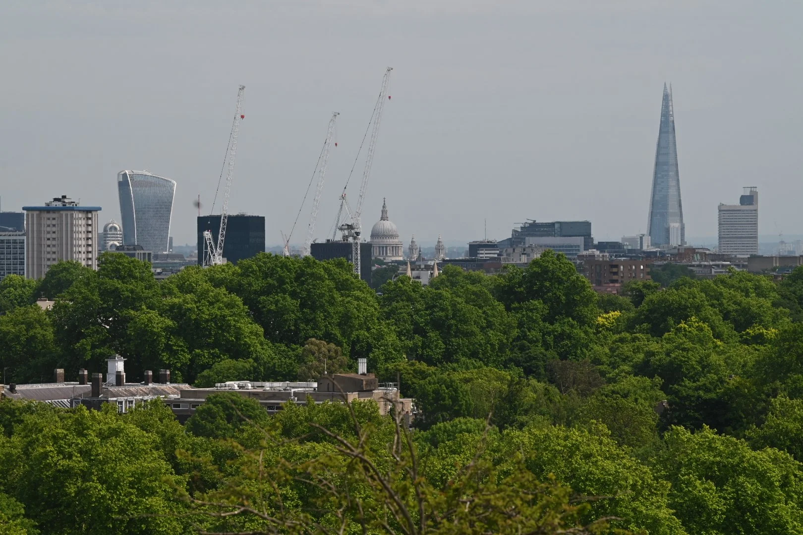 DSC_5743.JPG