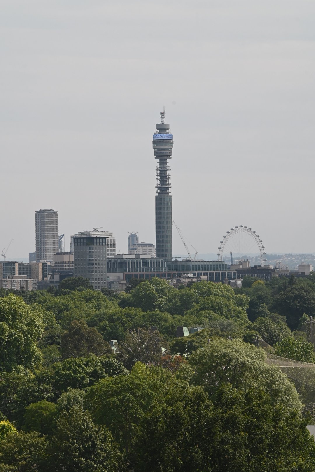 DSC_5746.JPG