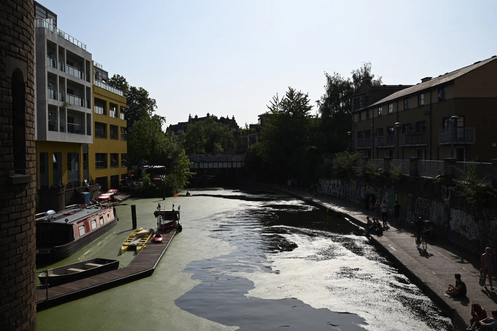 DSC_5885.JPG