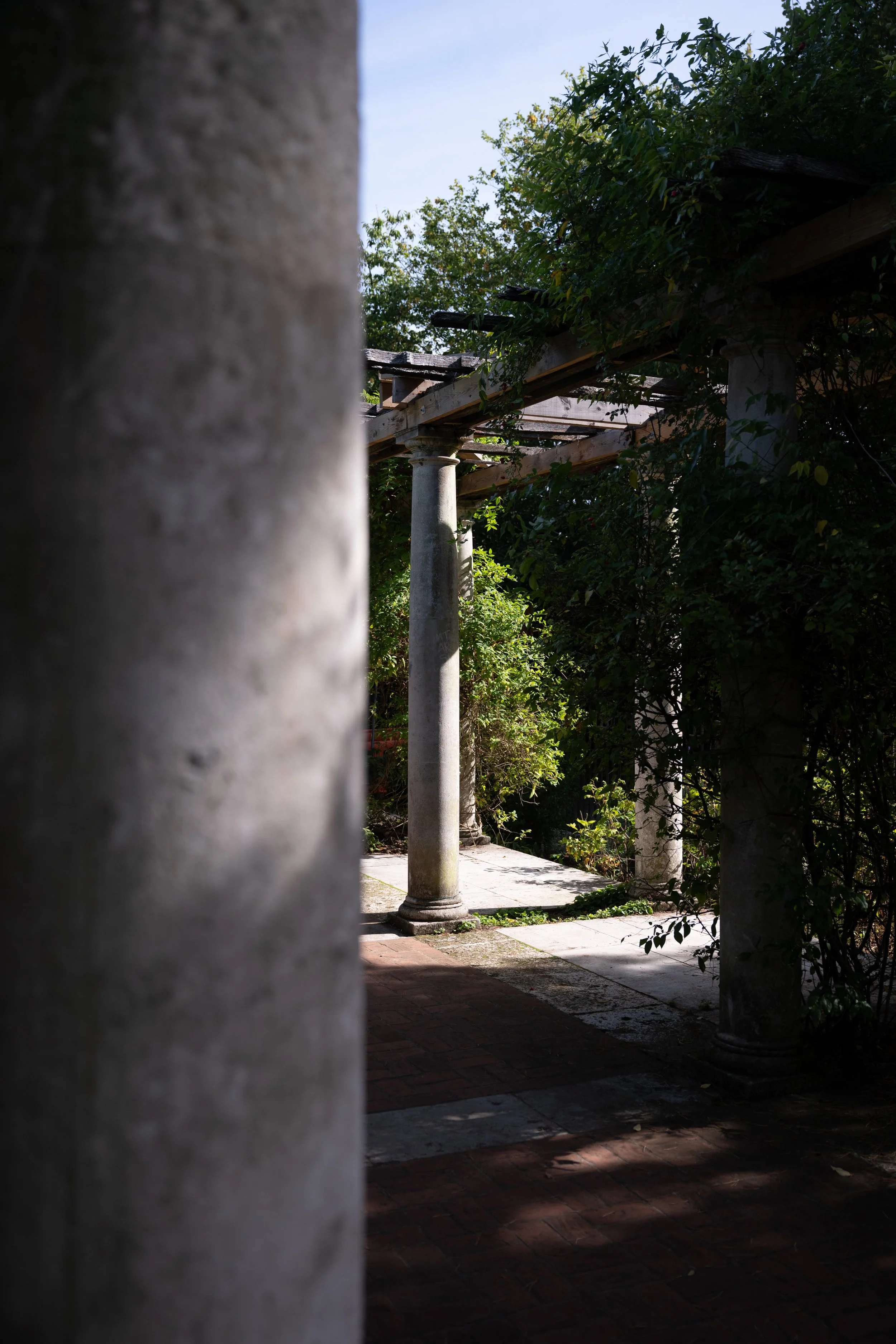 DSC_5992.jpg