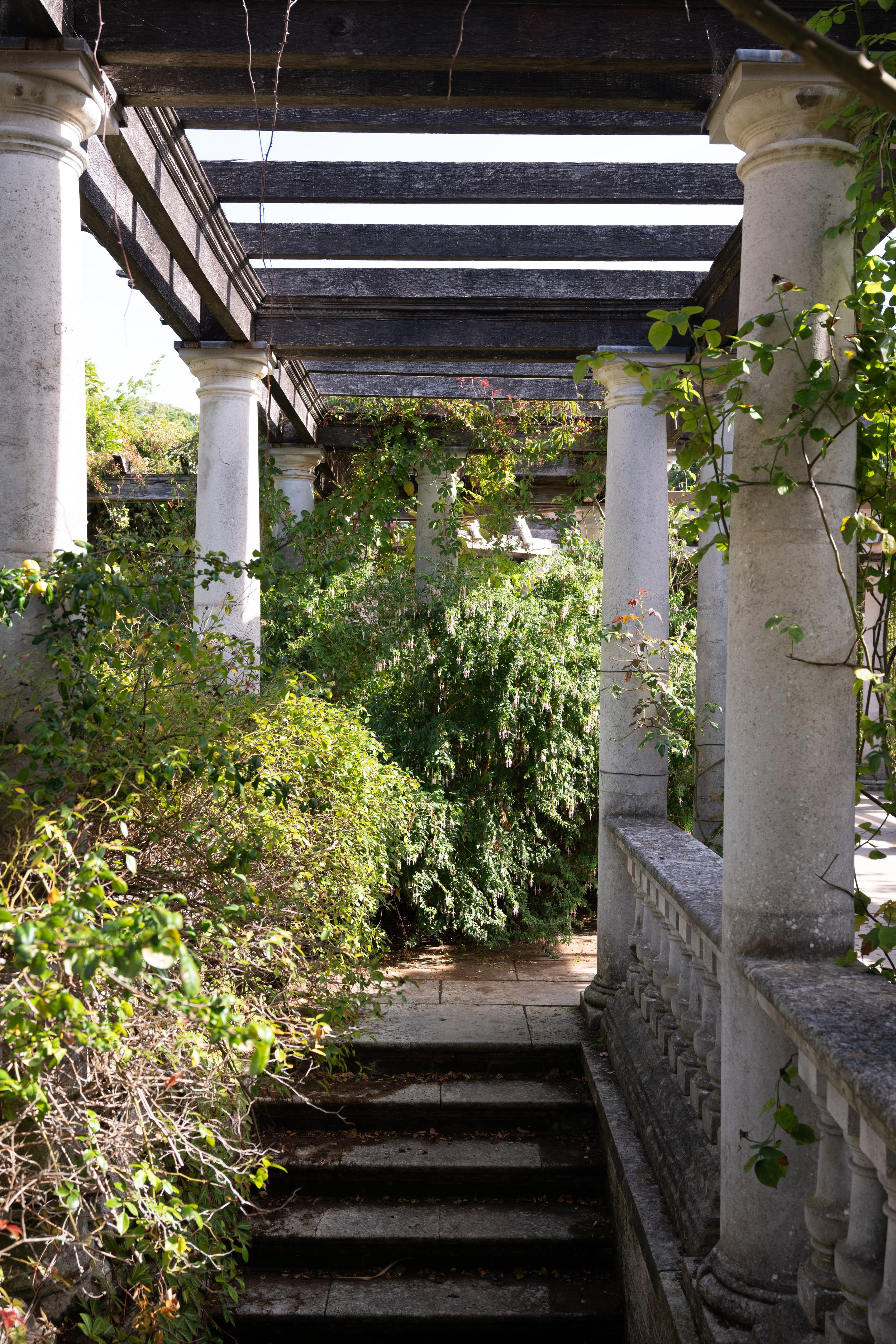 DSC_5996.jpg