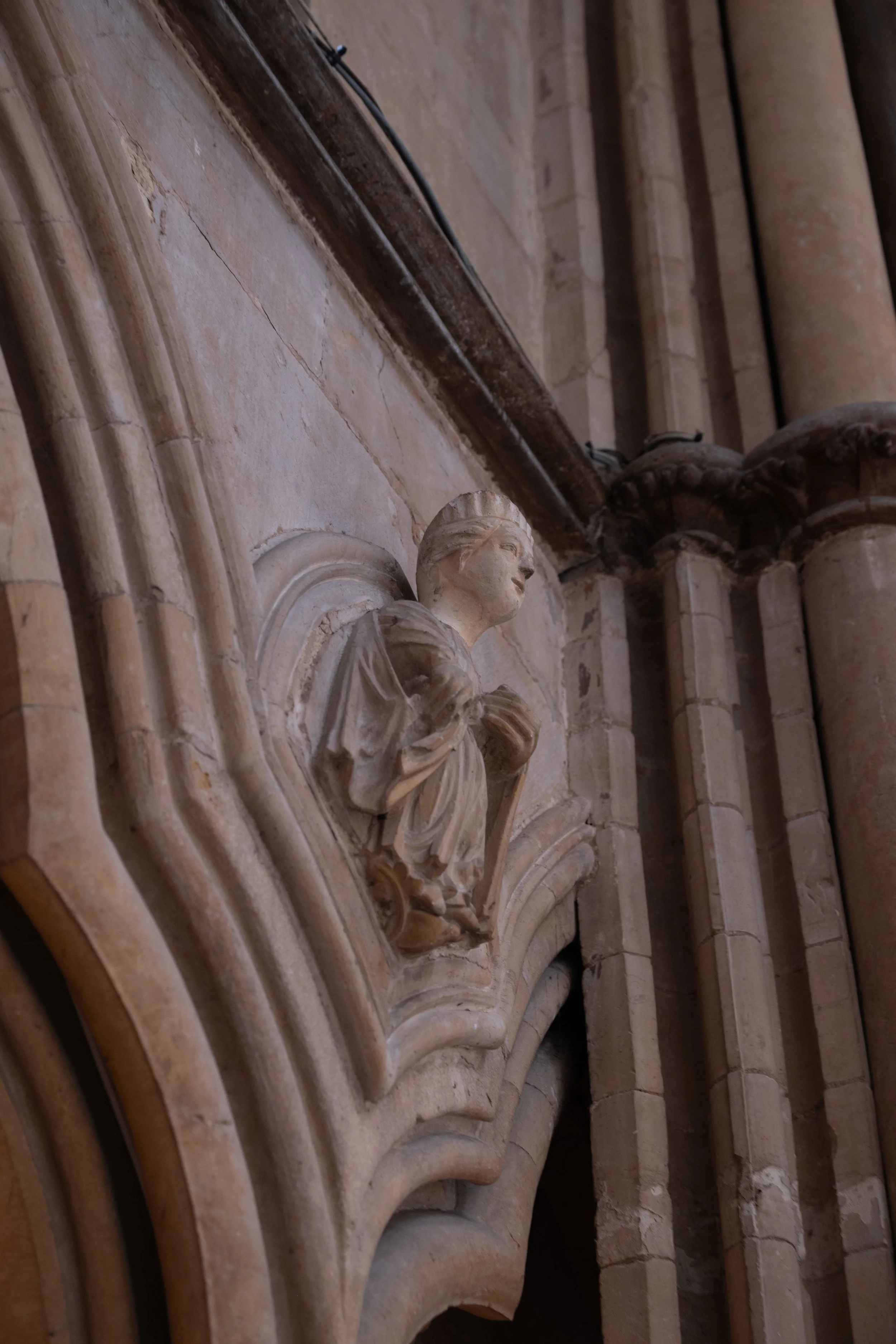 DSC_6126.jpg