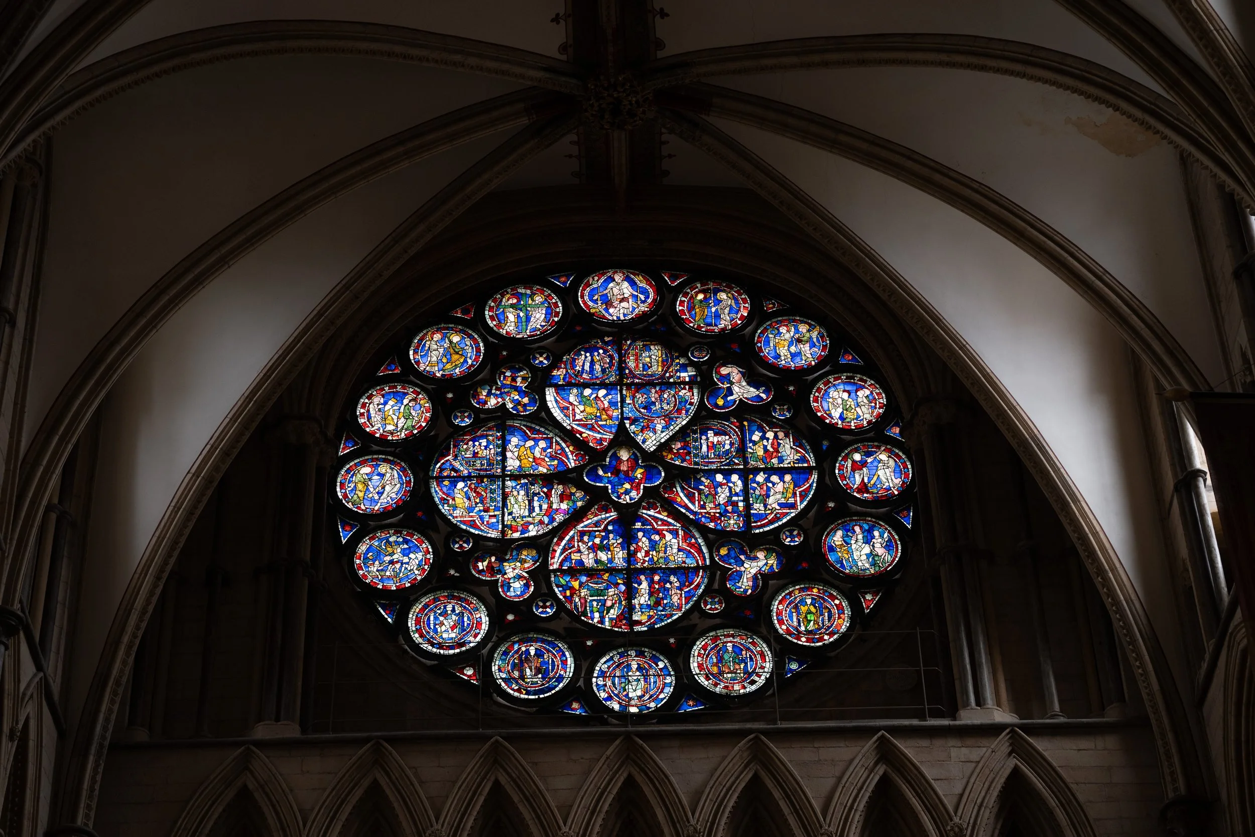 DSC_6123.jpg