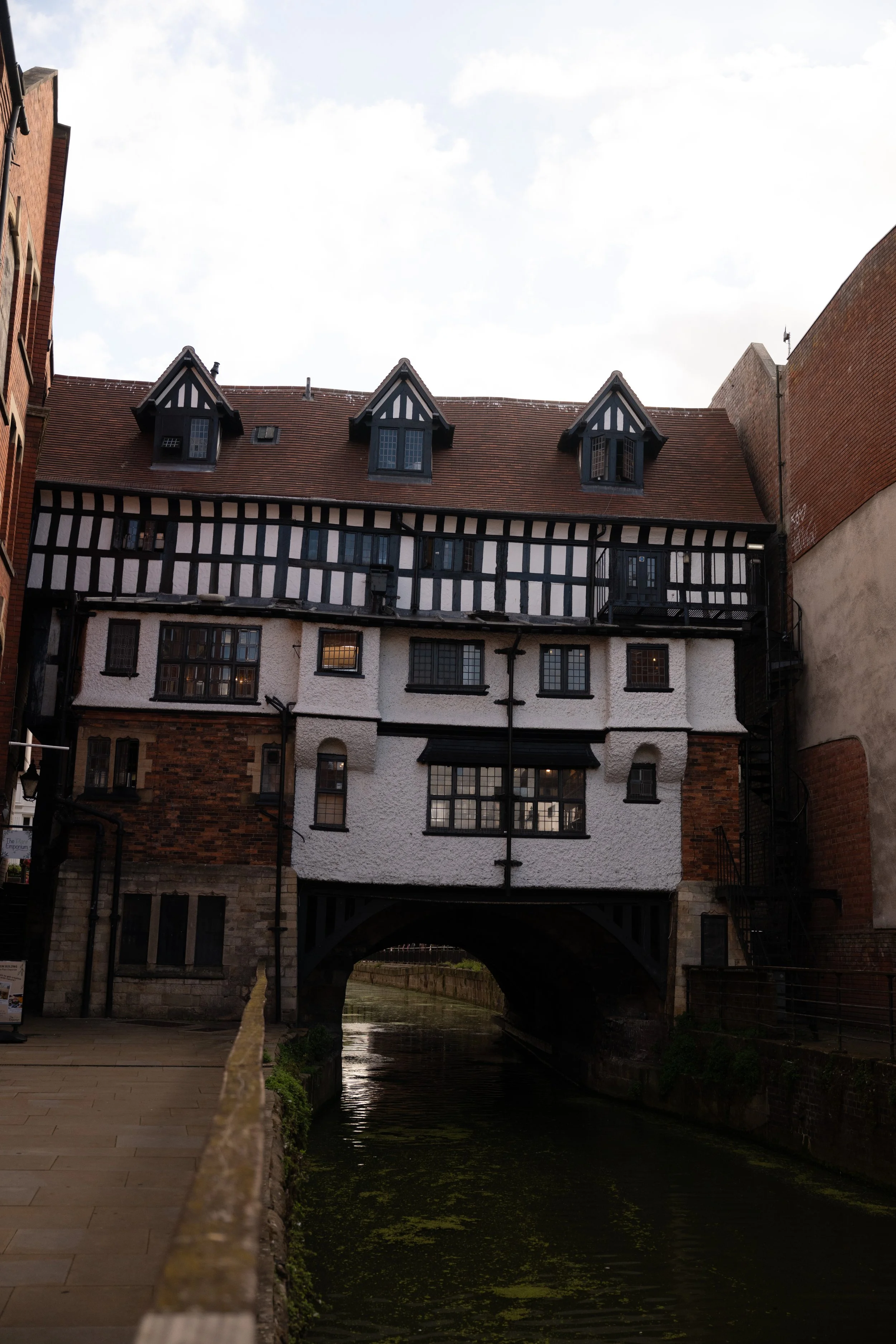 DSC_6089.jpg