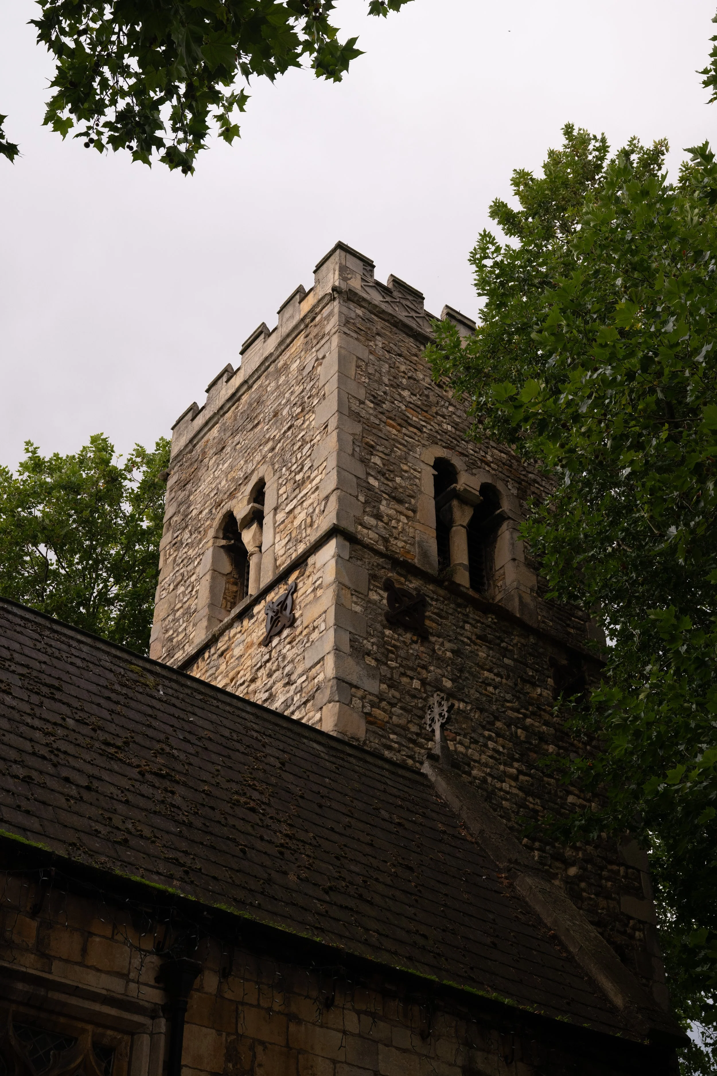 DSC_6074.jpg