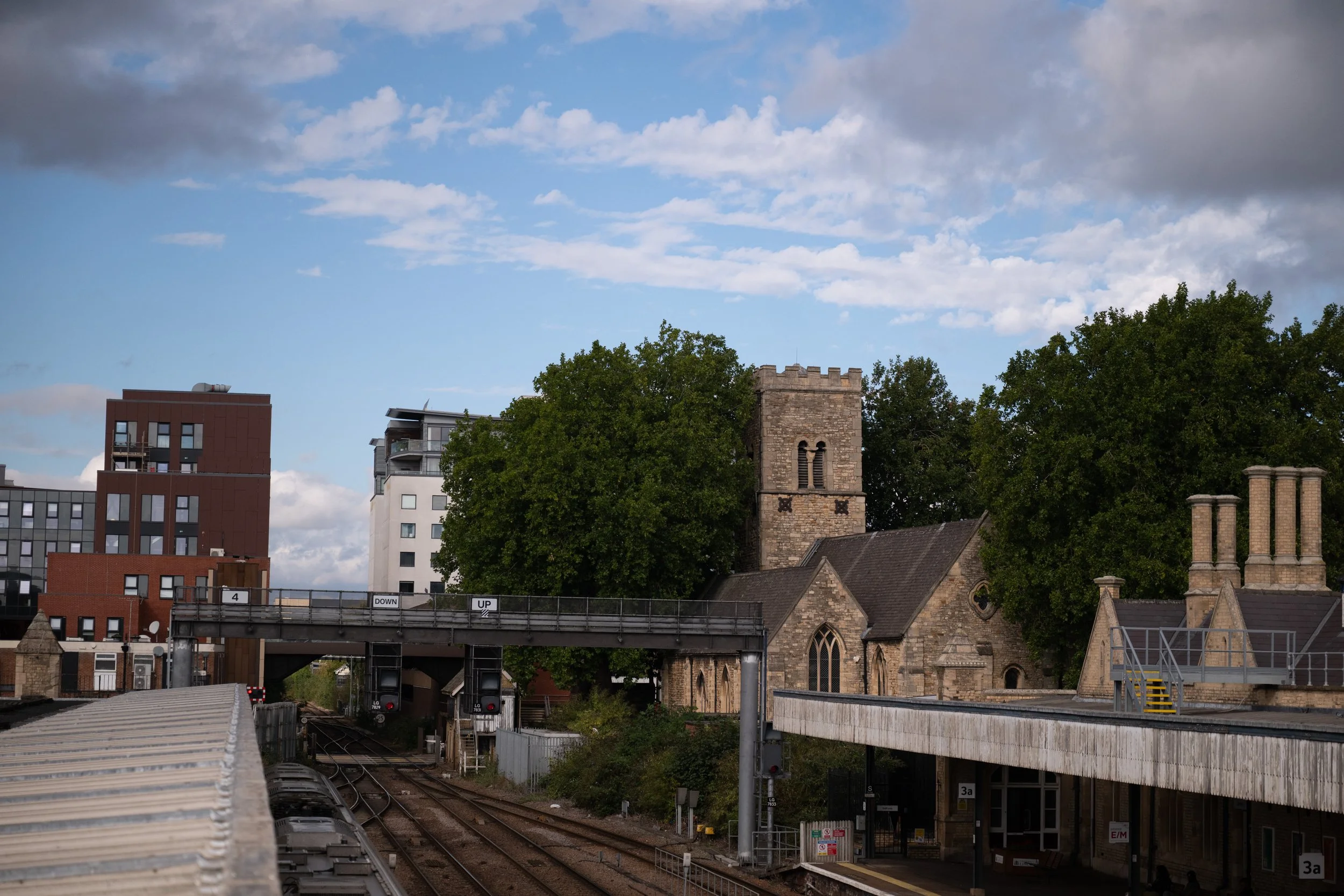 DSC_6072.jpg