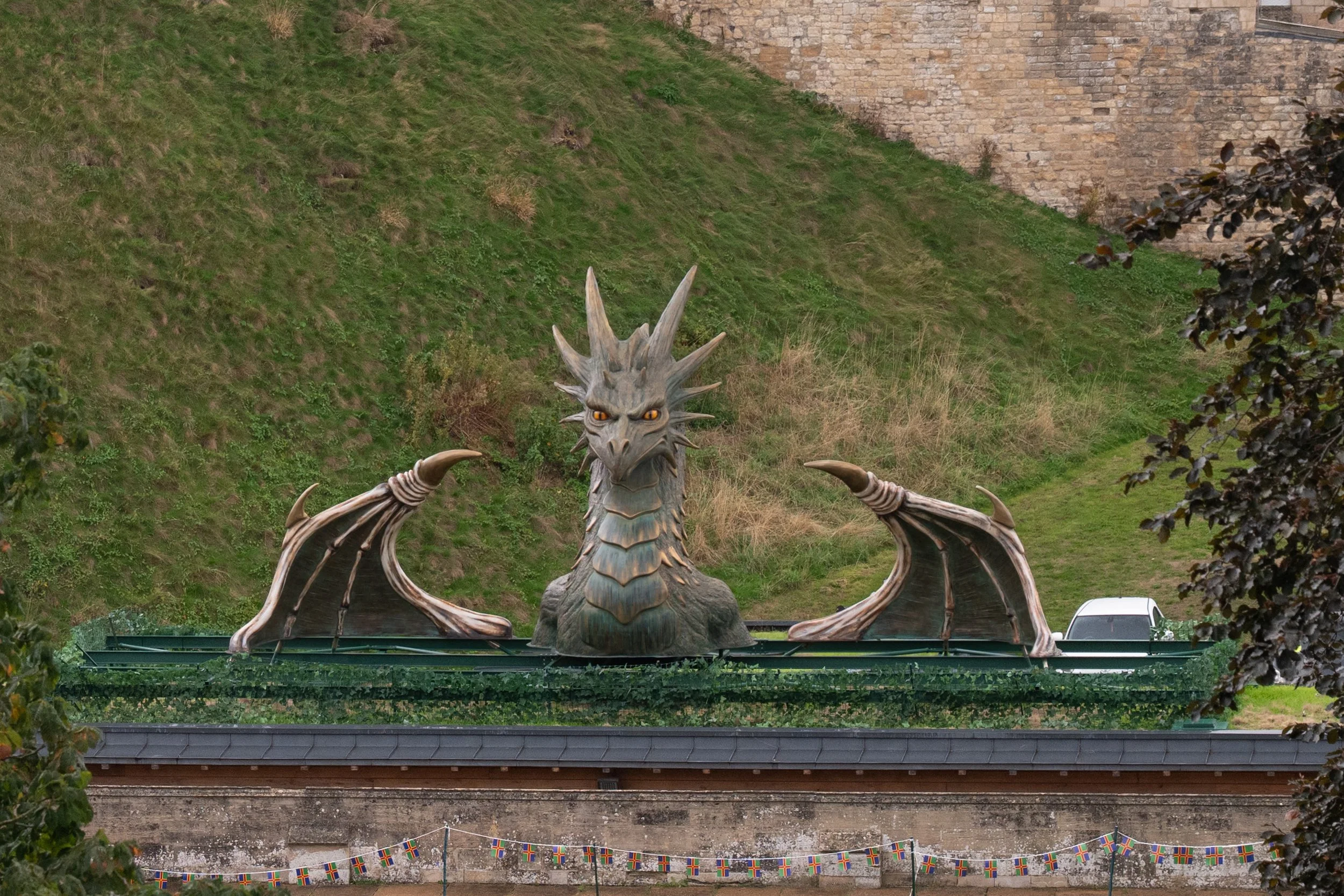 DSC_6190.jpg