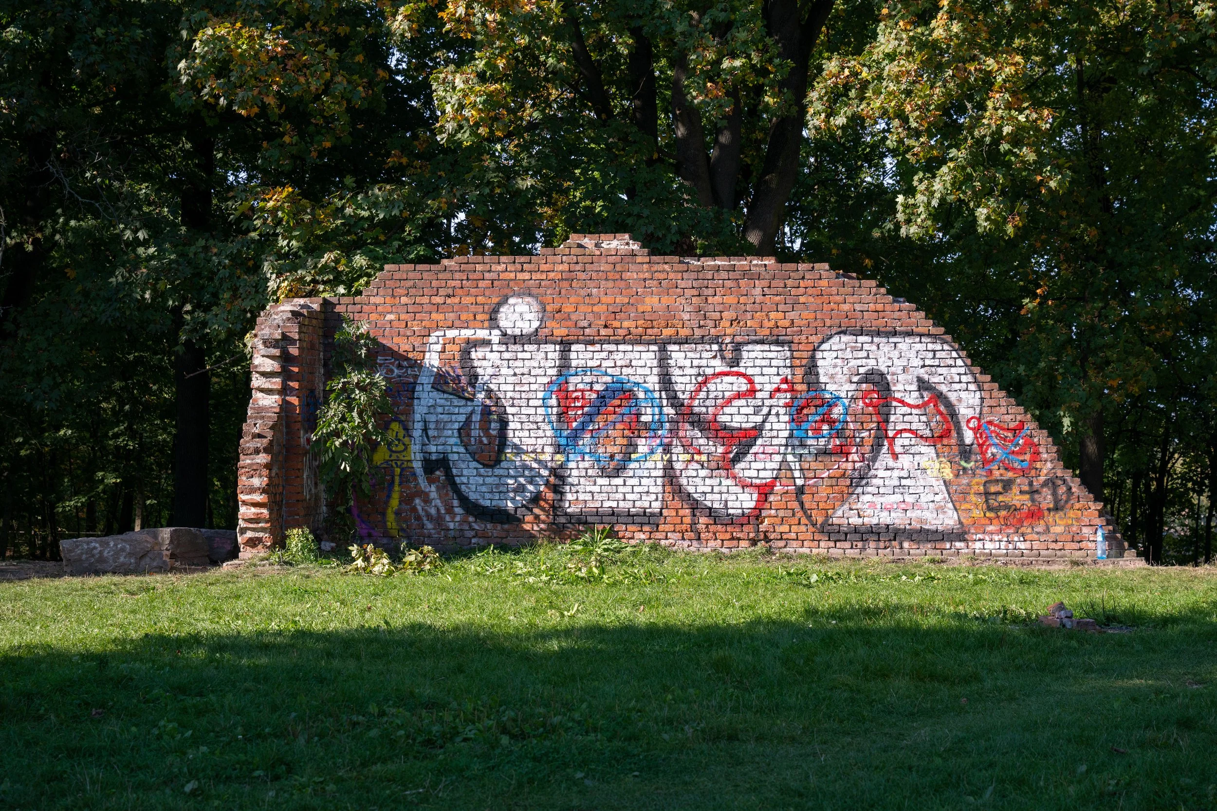 DSC_6518.jpg