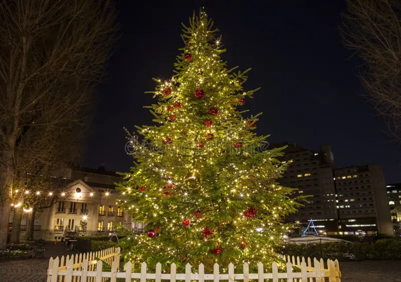christmas-tree-london-view-beautiful-st-katherine-docks-64370879.webp